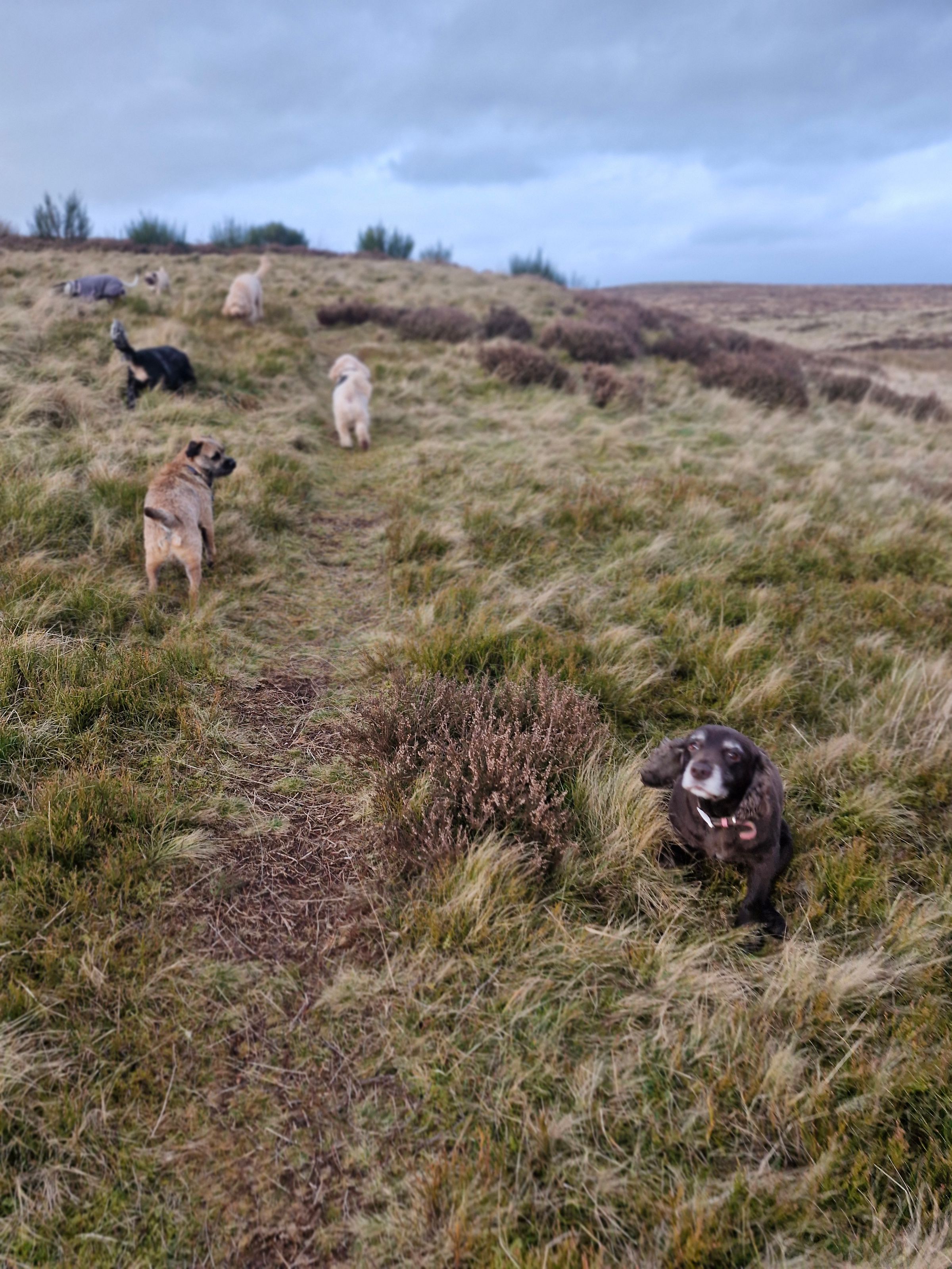 Hugo's Hikes's image