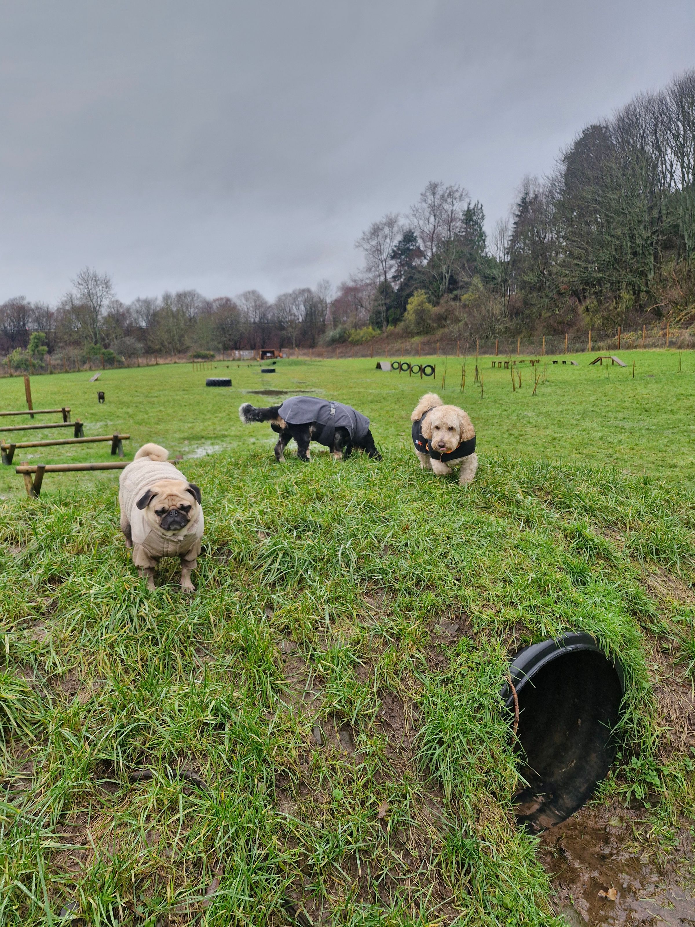 Hugo's Hikes's image