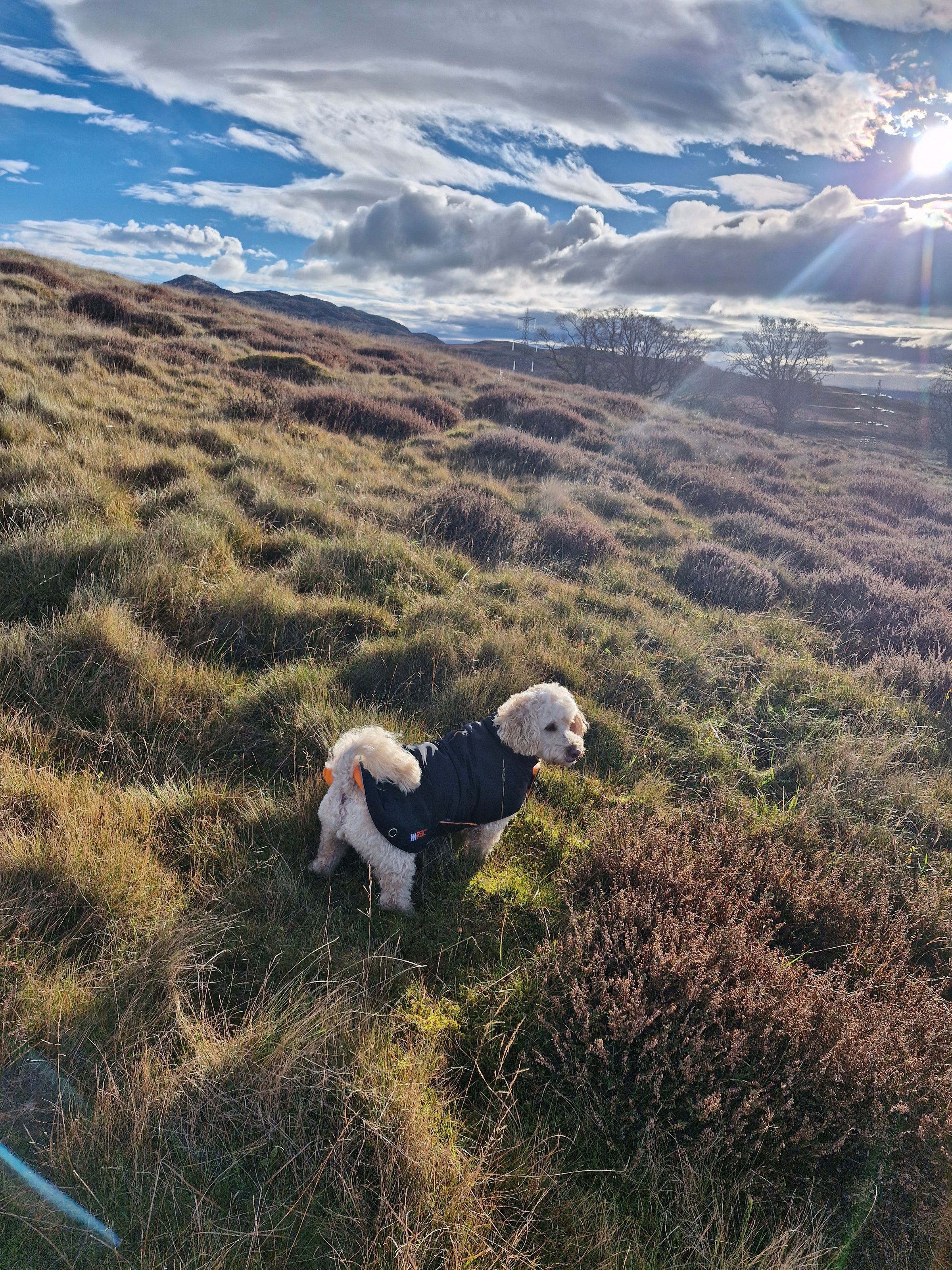 Hugo's Hikes's image