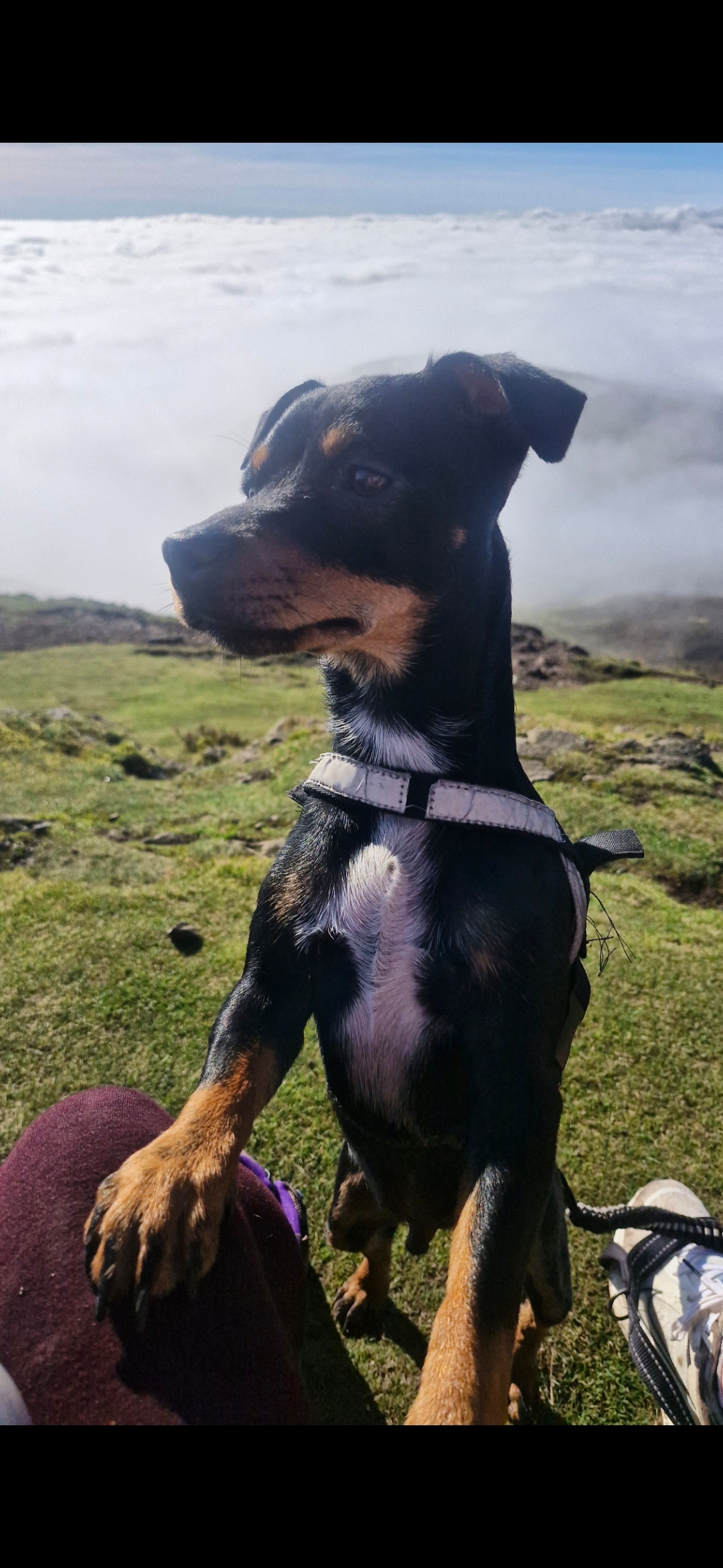 Hugo's Hikes's image