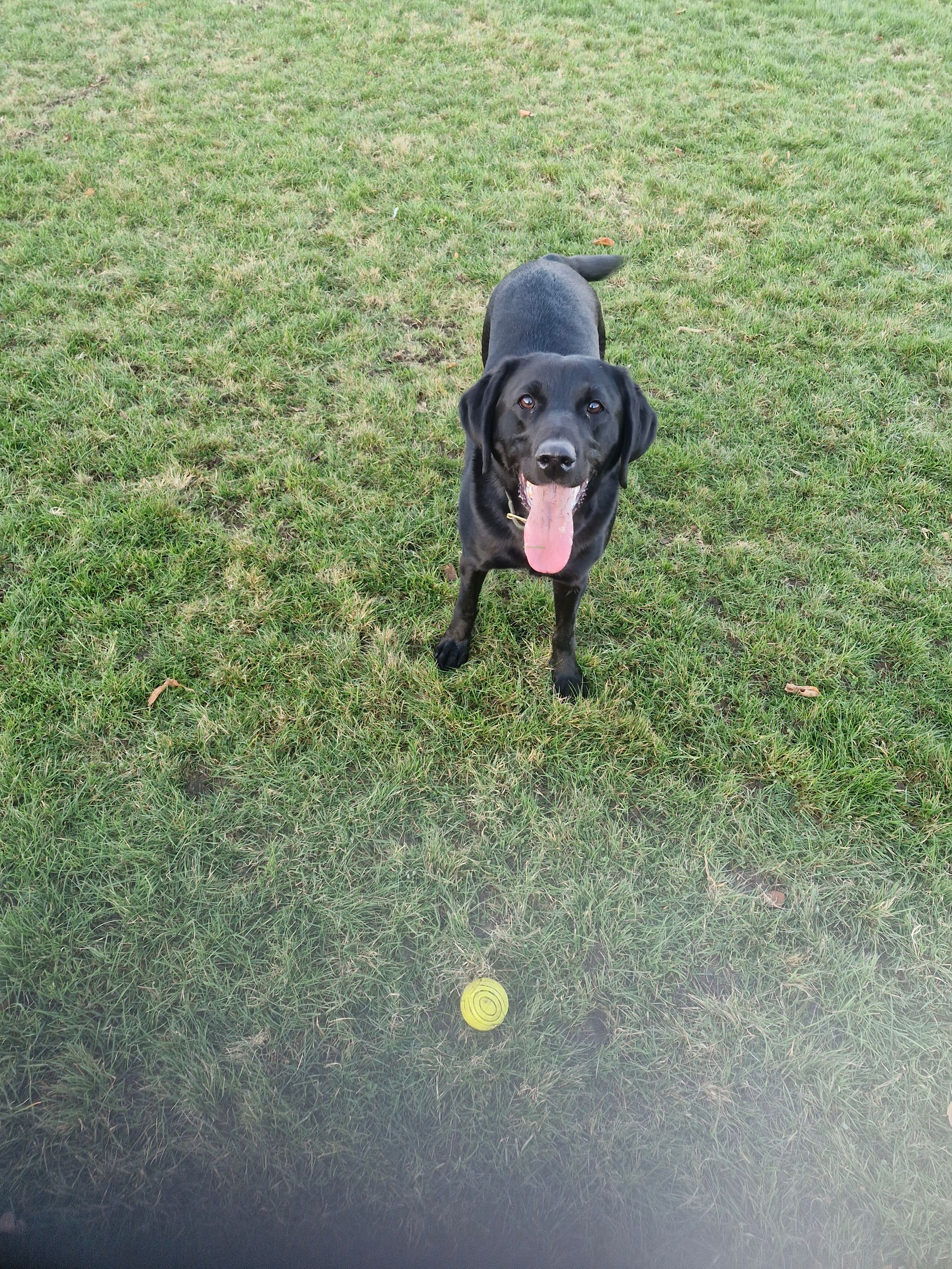 Hugo's Hikes's image