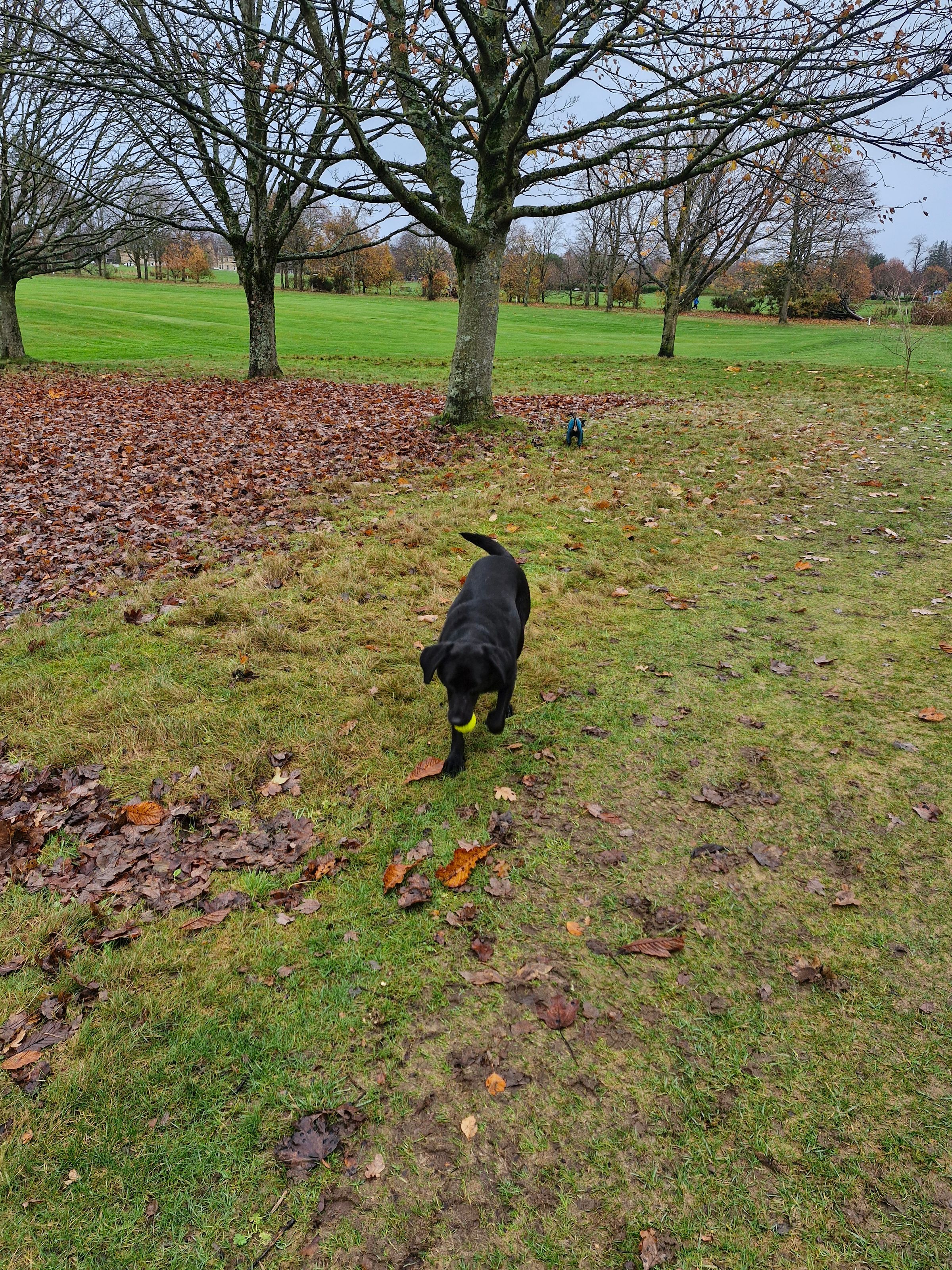 Hugo's Hikes's image