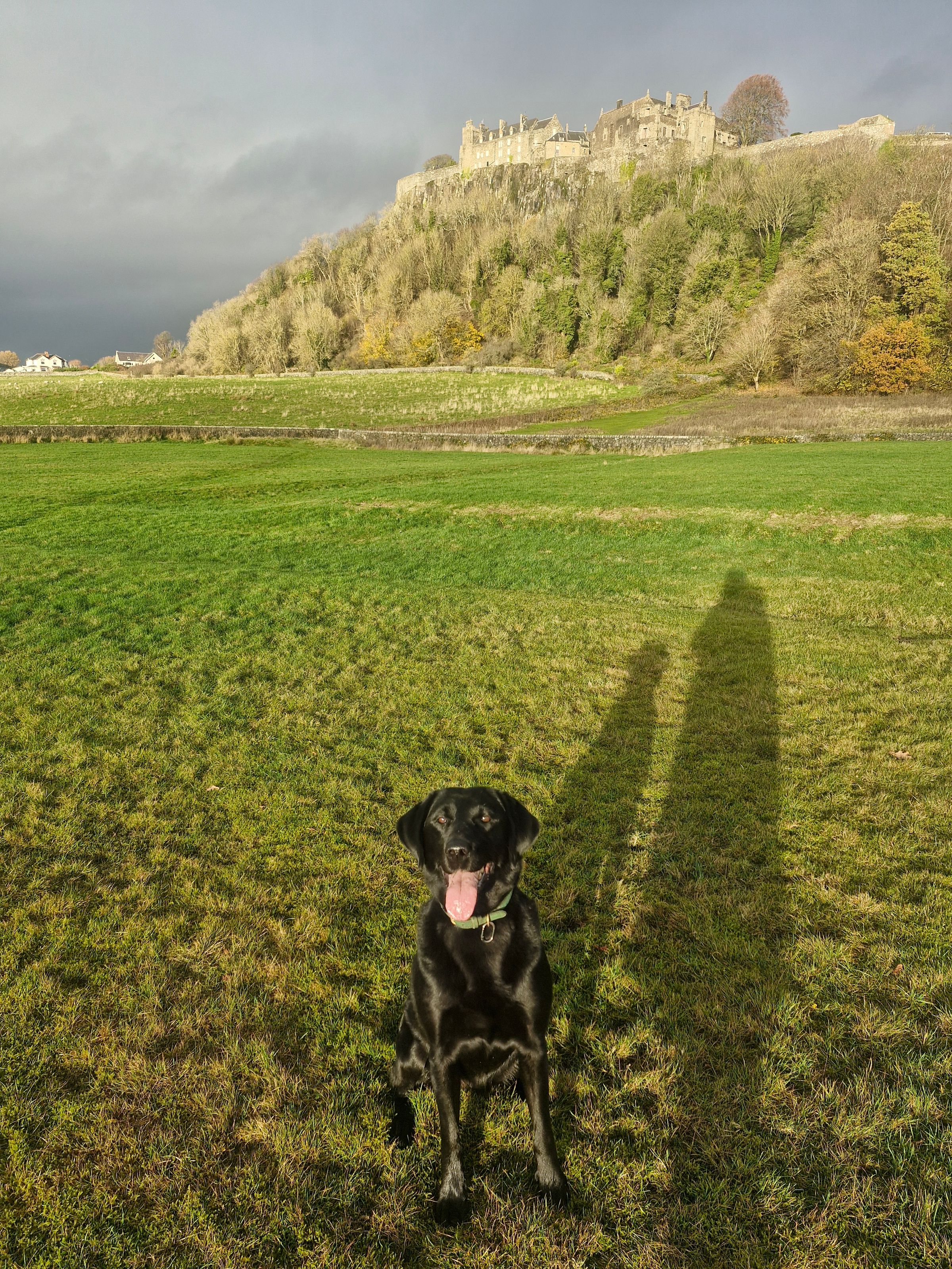 Hugo's Hikes's image