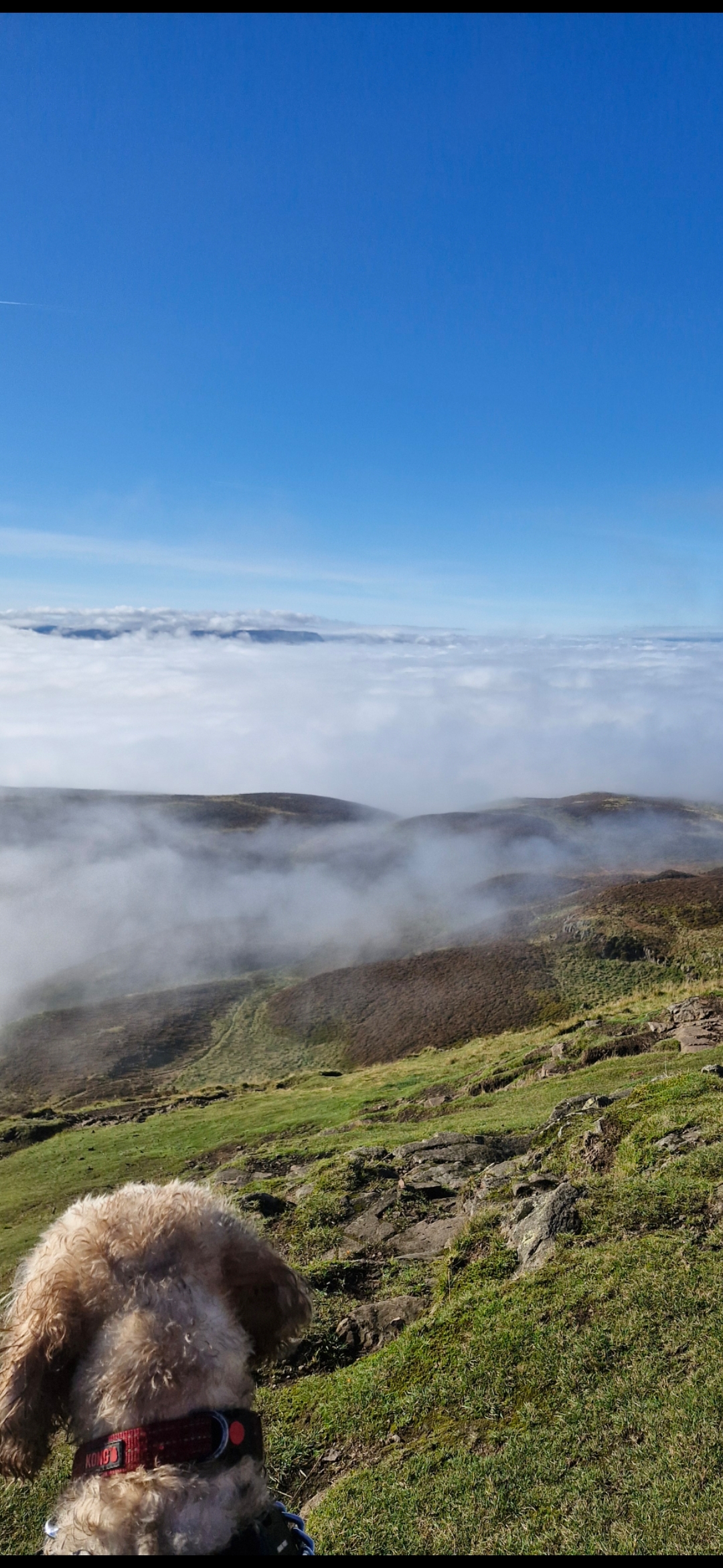 Hugo's Hikes's image