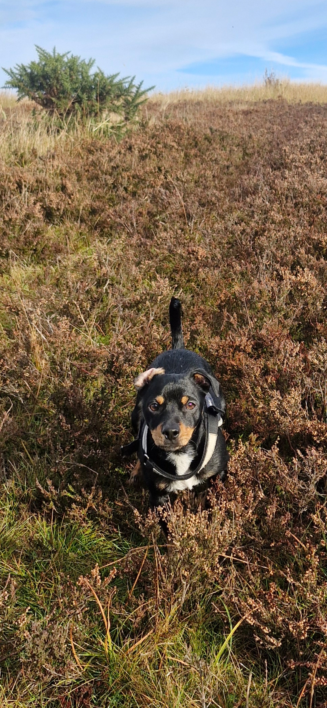 Hugo's Hikes's image