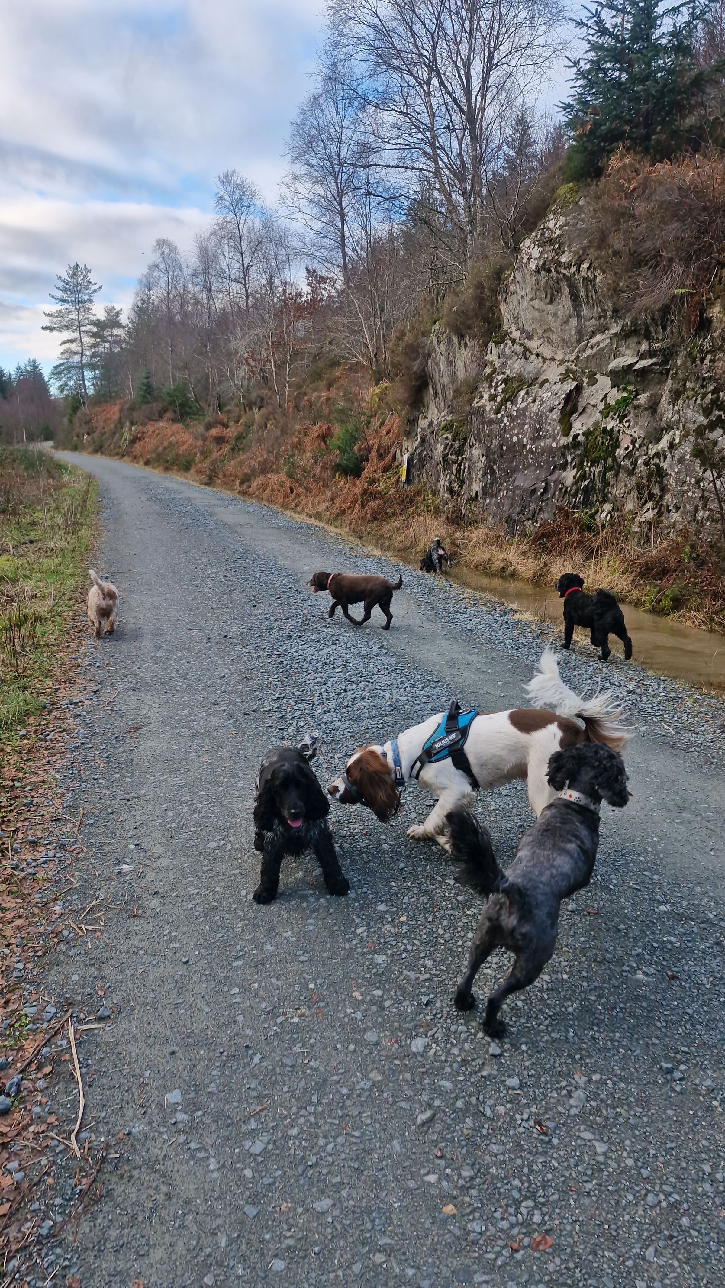 Hugo's Hikes's image