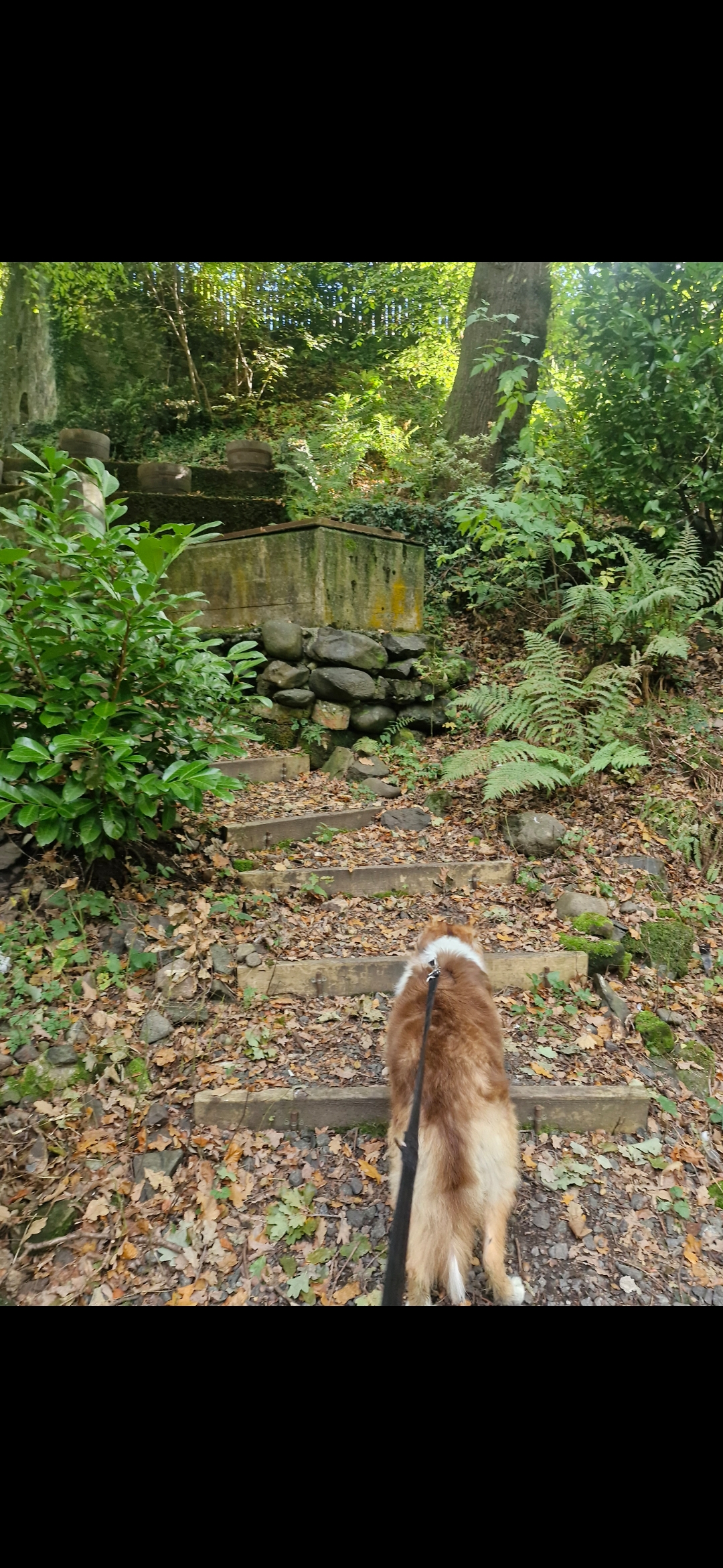 Hugo's Hikes's image