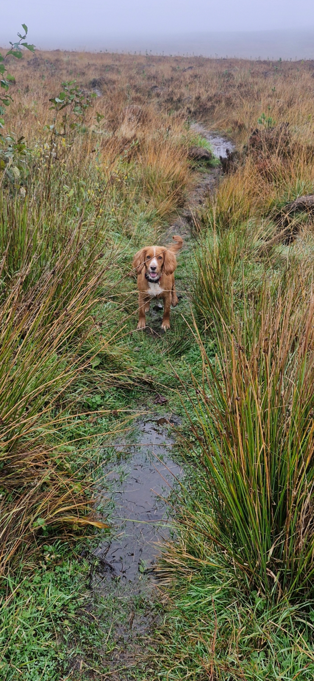 Hugo's Hikes's image