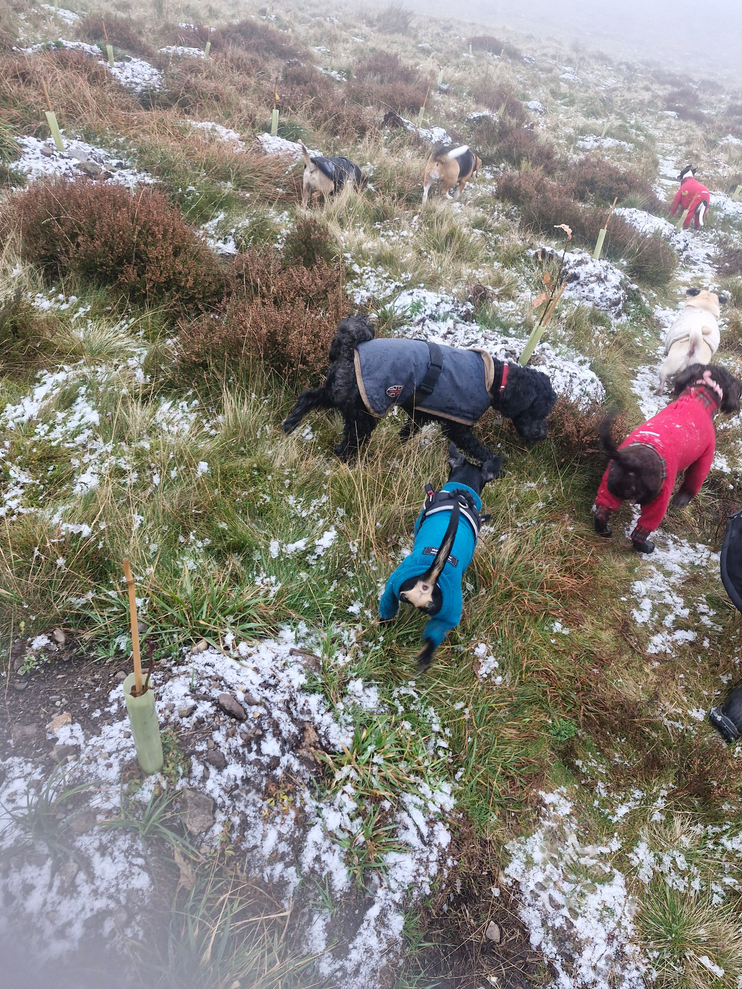 Hugo's Hikes's image