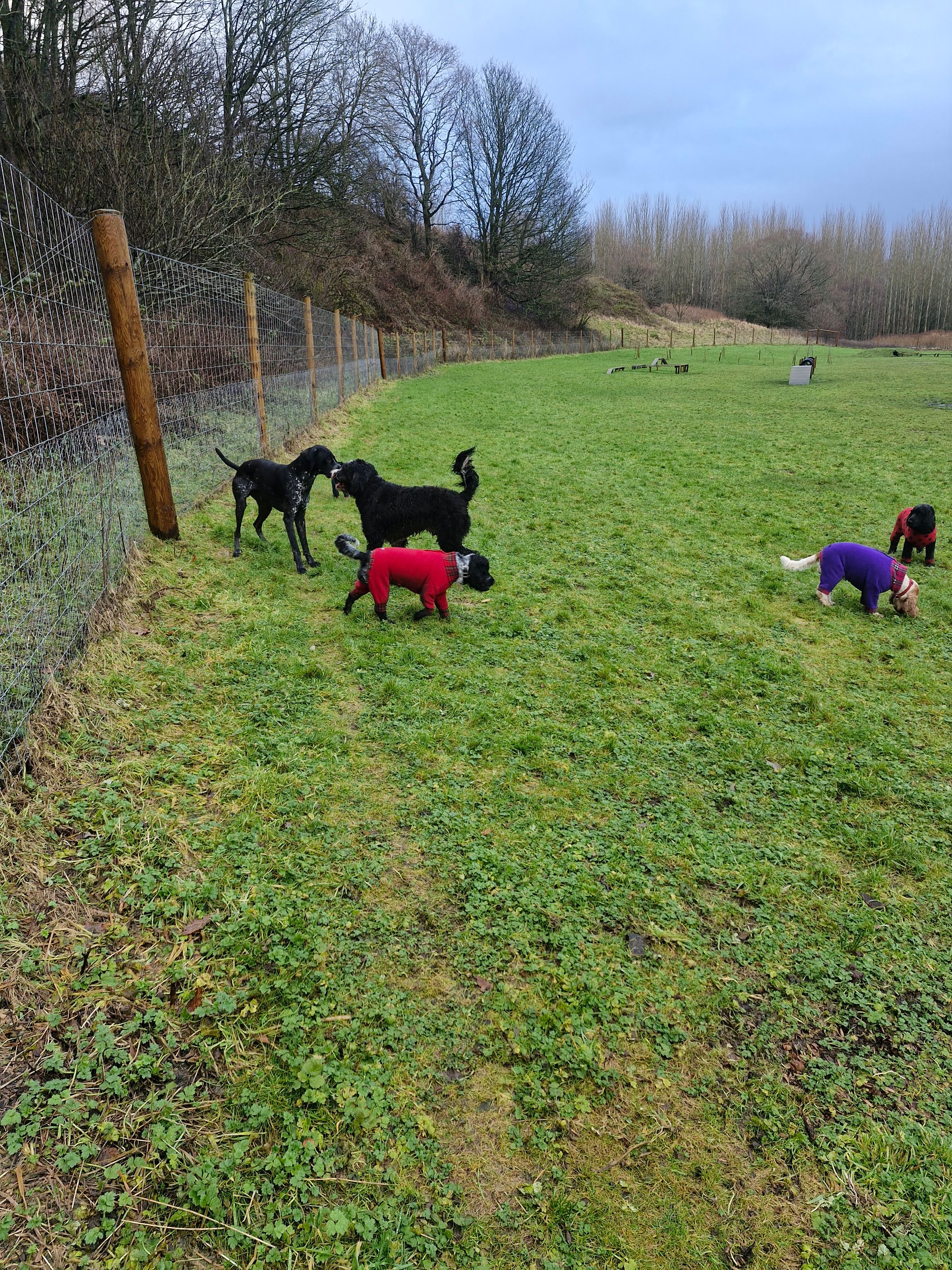 Hugo's Hikes's image