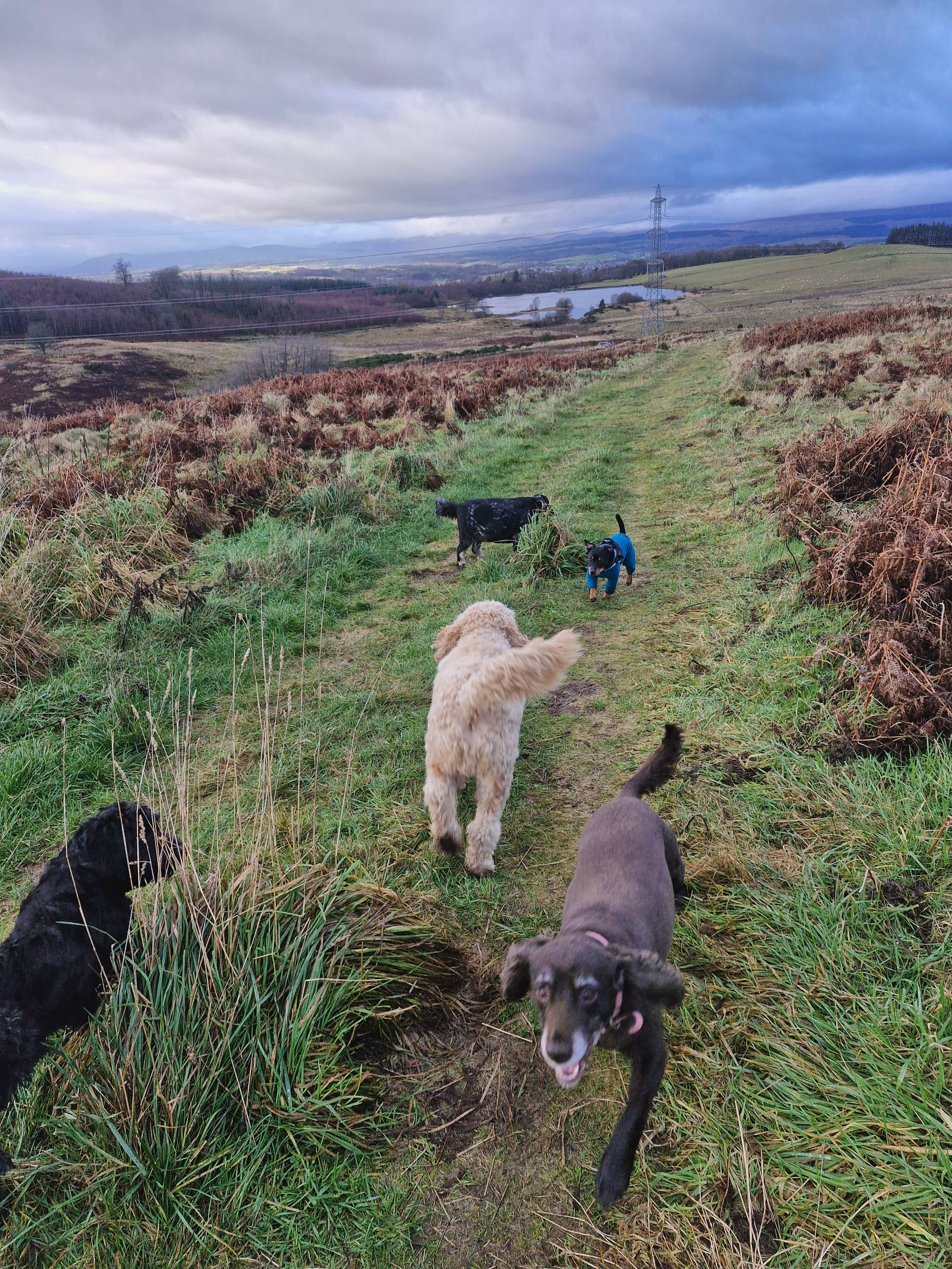 Hugo's Hikes's image