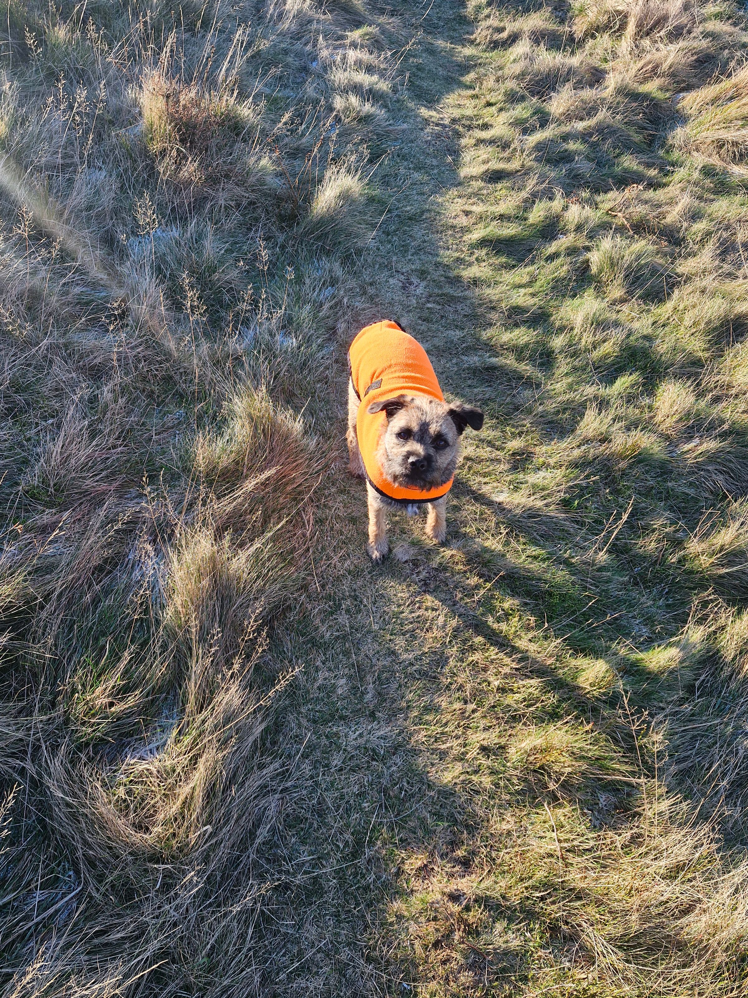 Hugo's Hikes's image