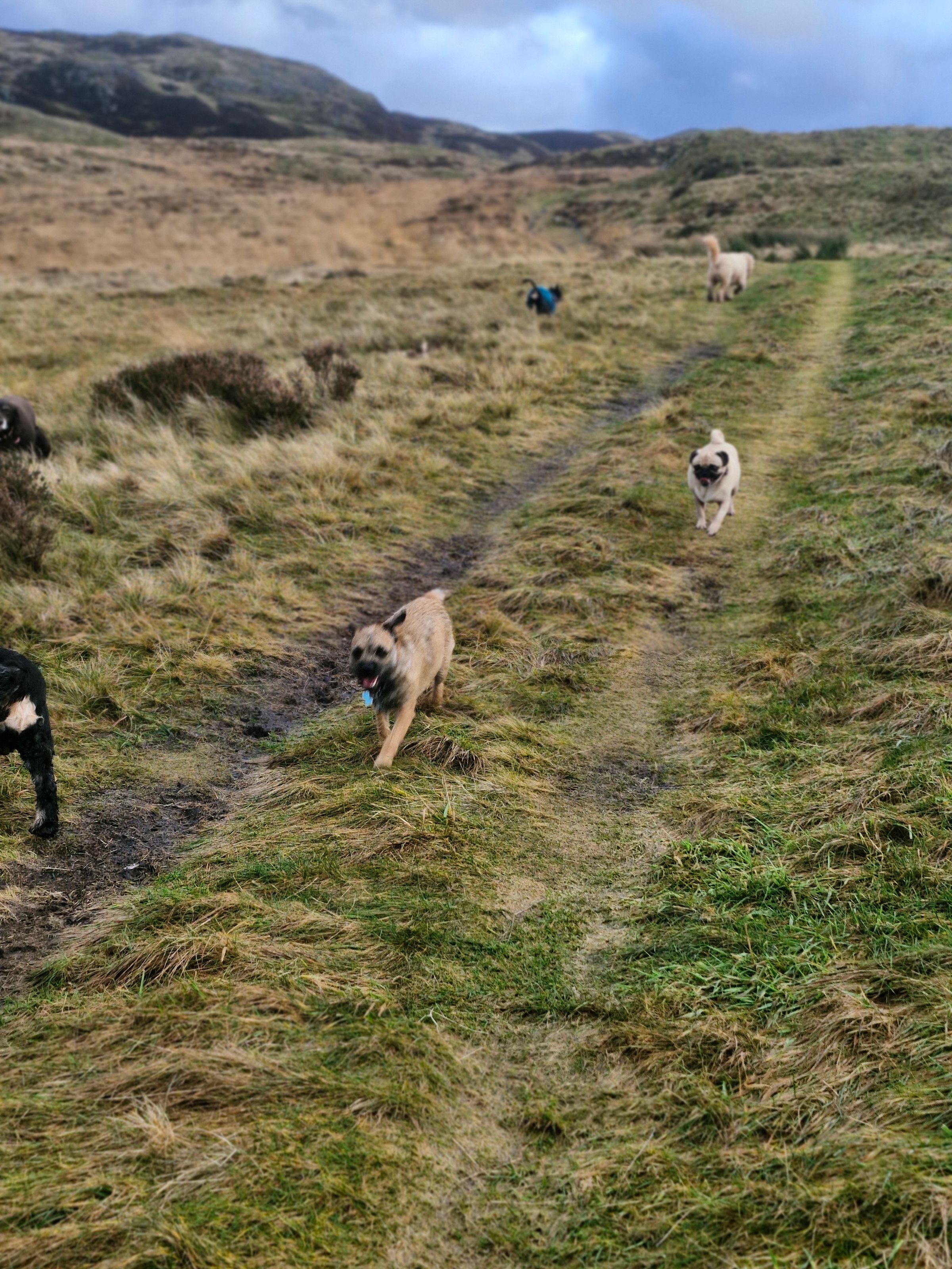 Hugo's Hikes's image