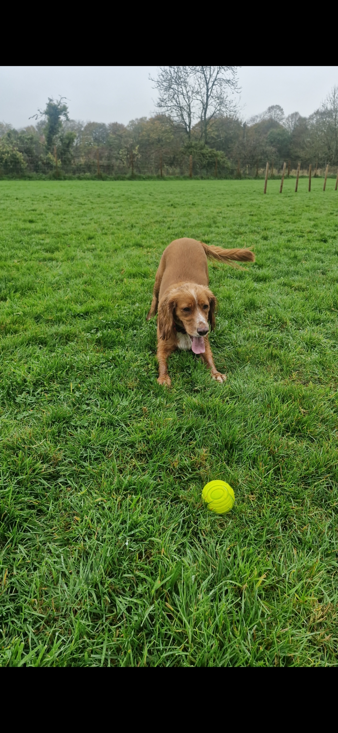 Hugo's Hikes's image