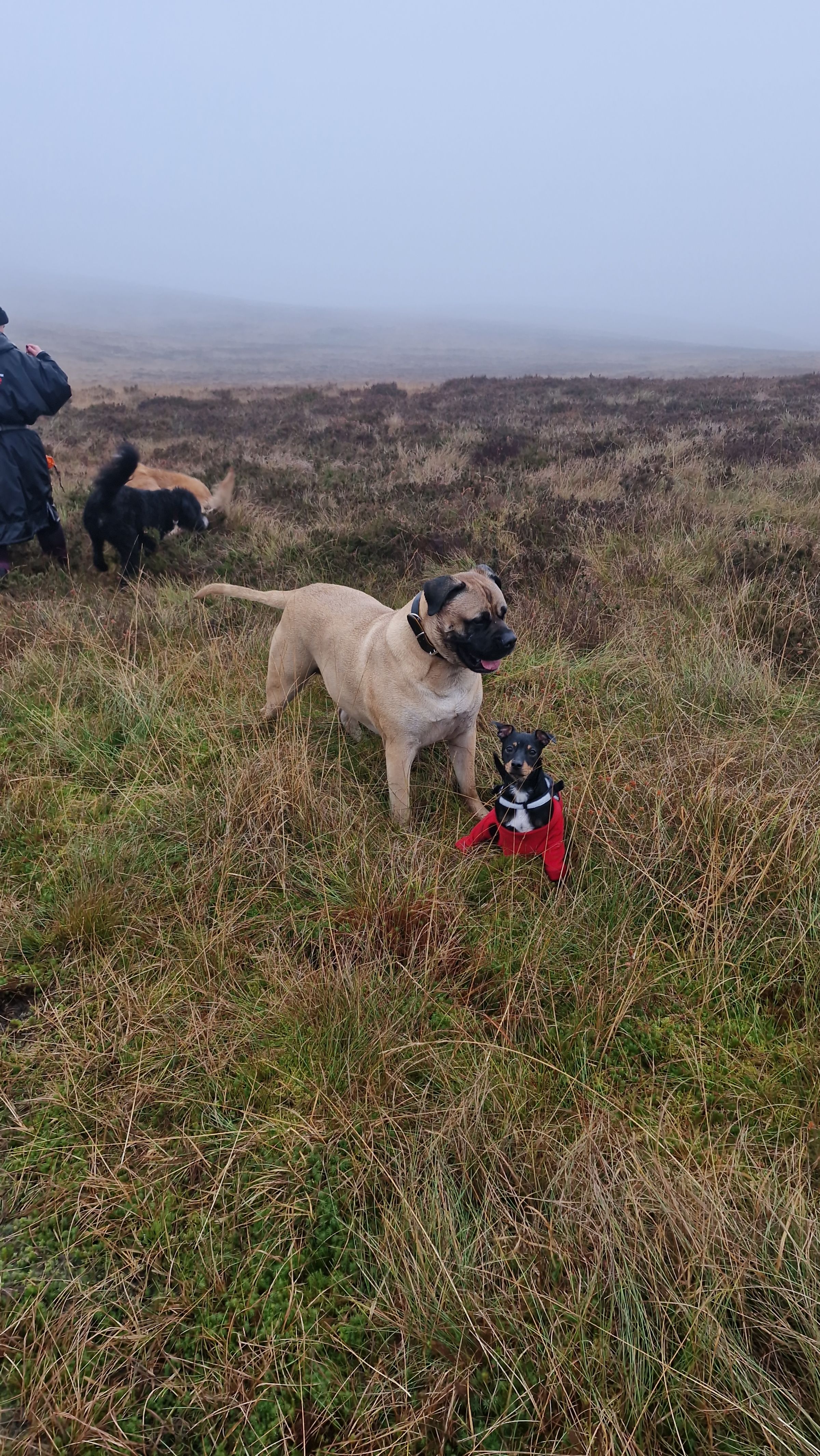 Hugo's Hikes's image