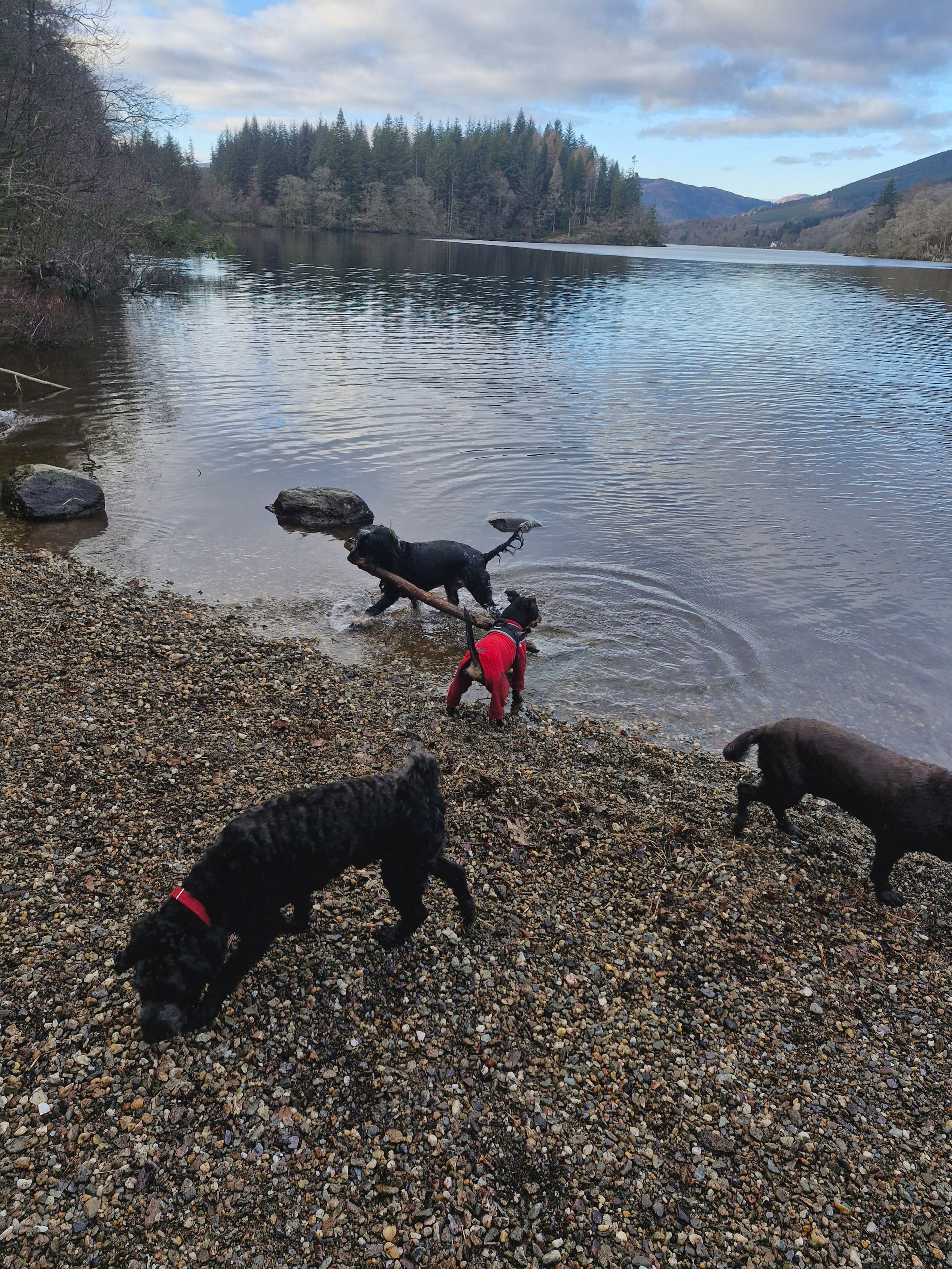 Hugo's Hikes's image