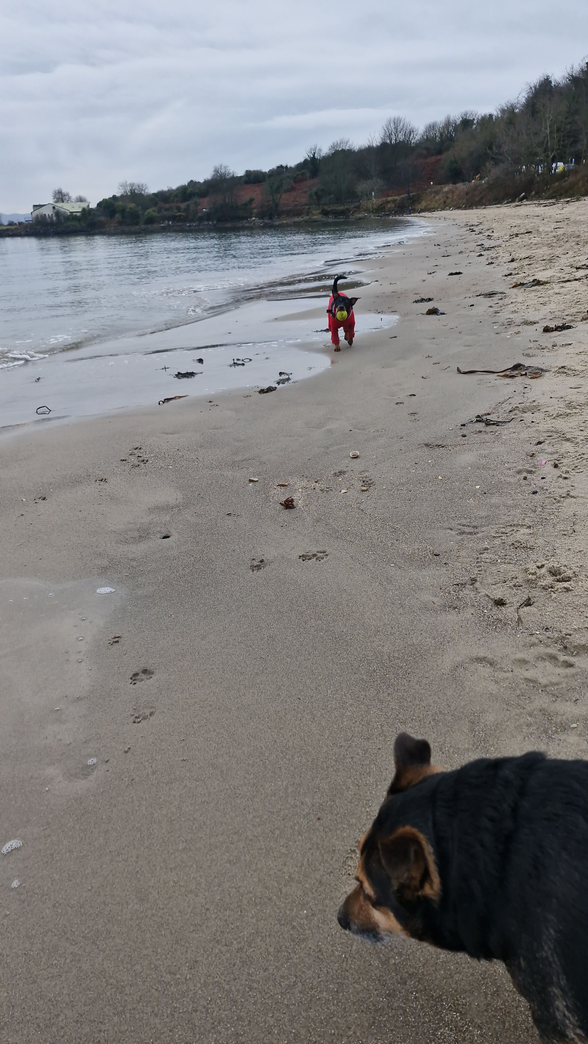 Hugo's Hikes's image