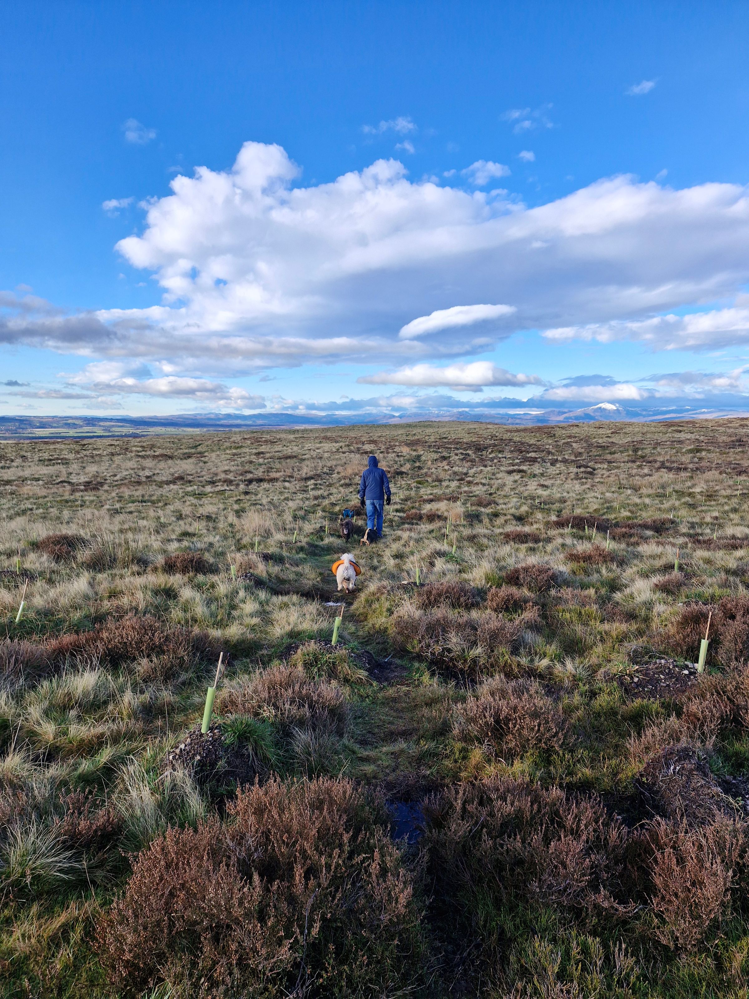 Hugo's Hikes's image