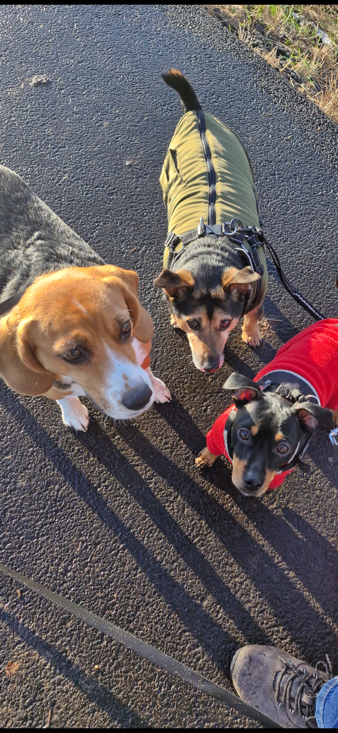 Hugo's Hikes's image