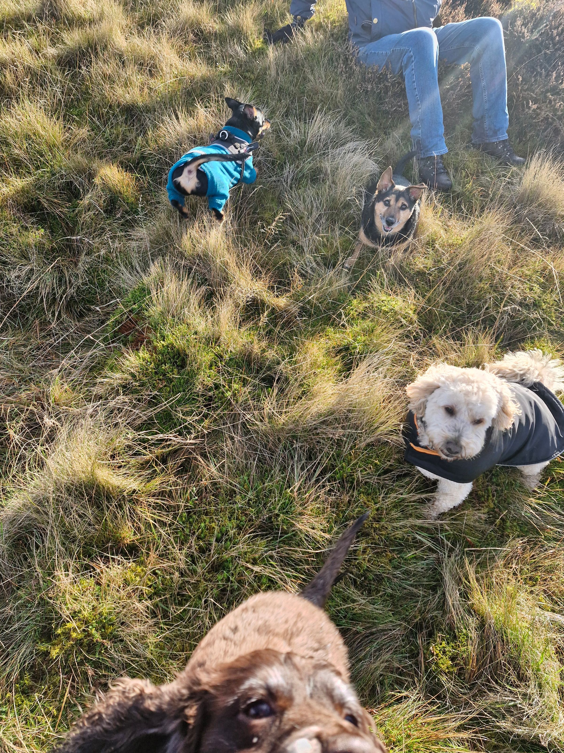 Hugo's Hikes's image