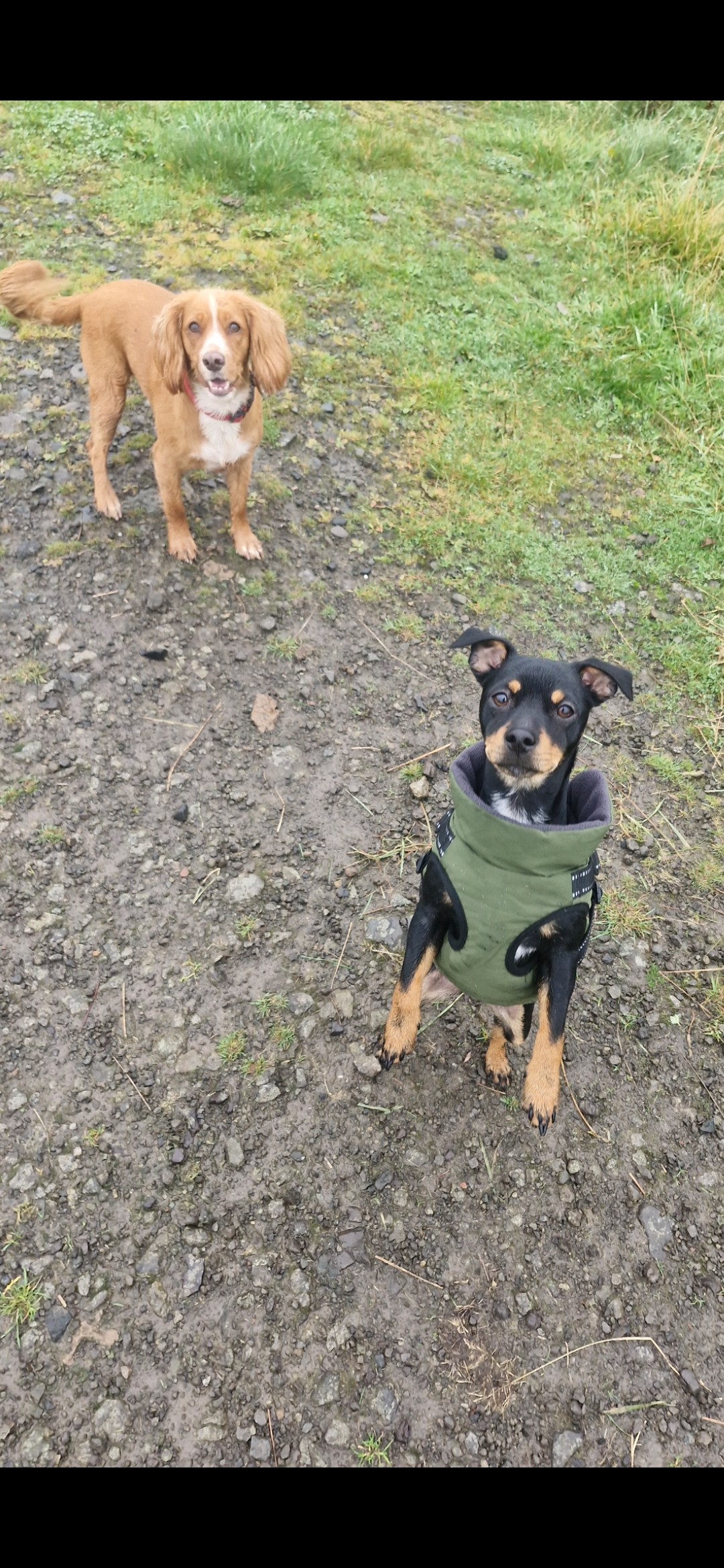 Hugo's Hikes's image