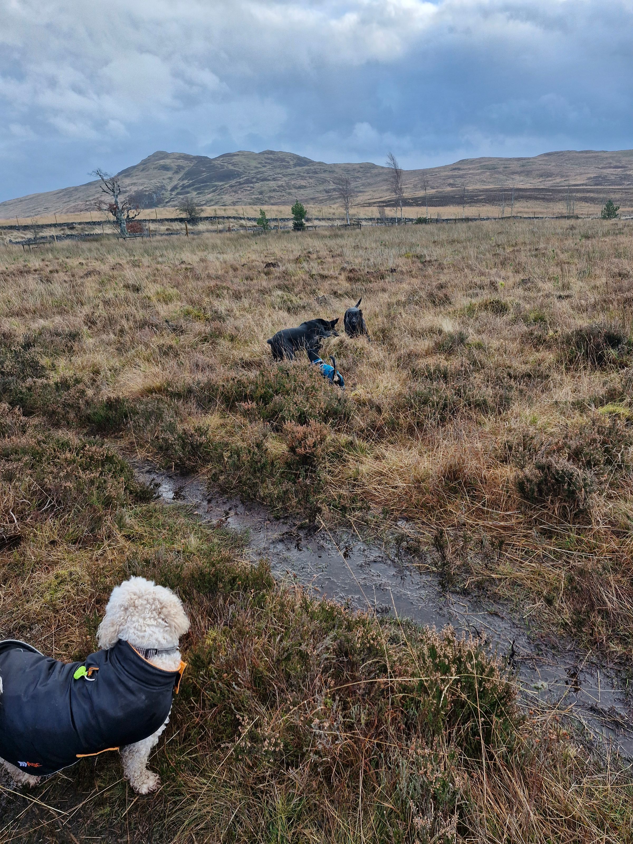 Hugo's Hikes's image