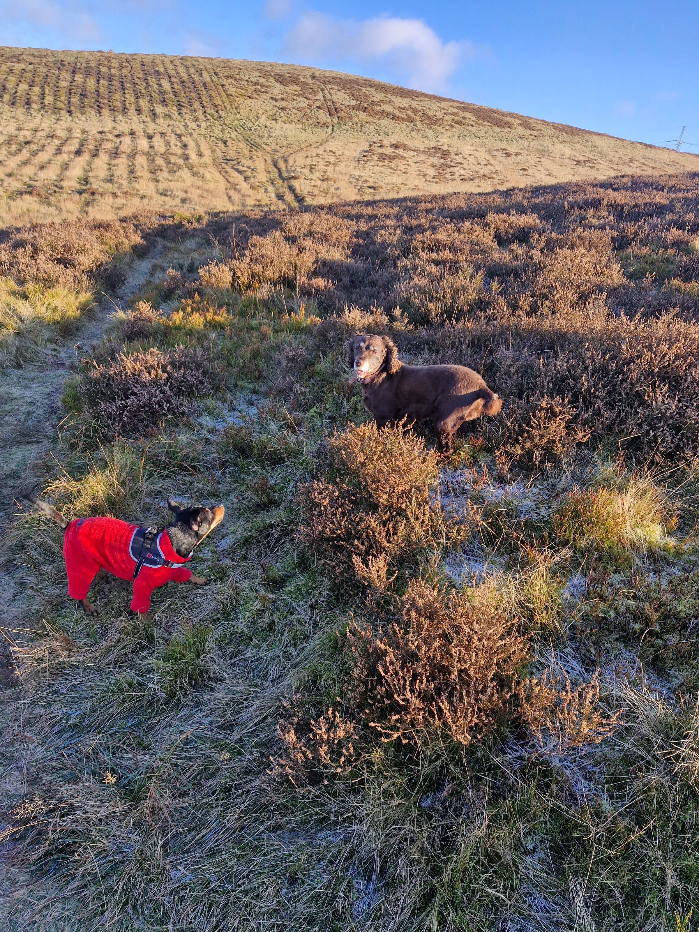 Hugo's Hikes's image