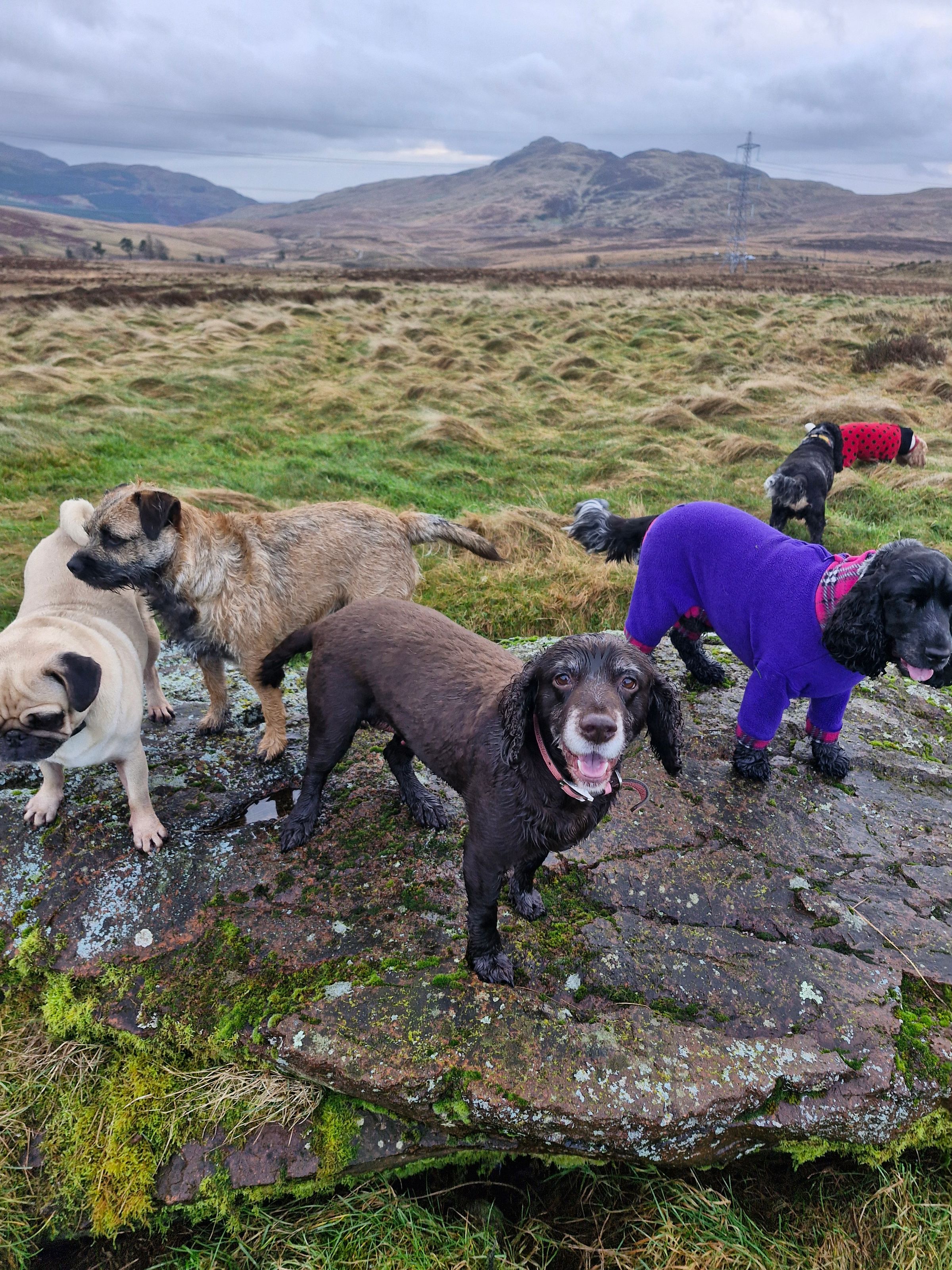 Hugo's Hikes's image