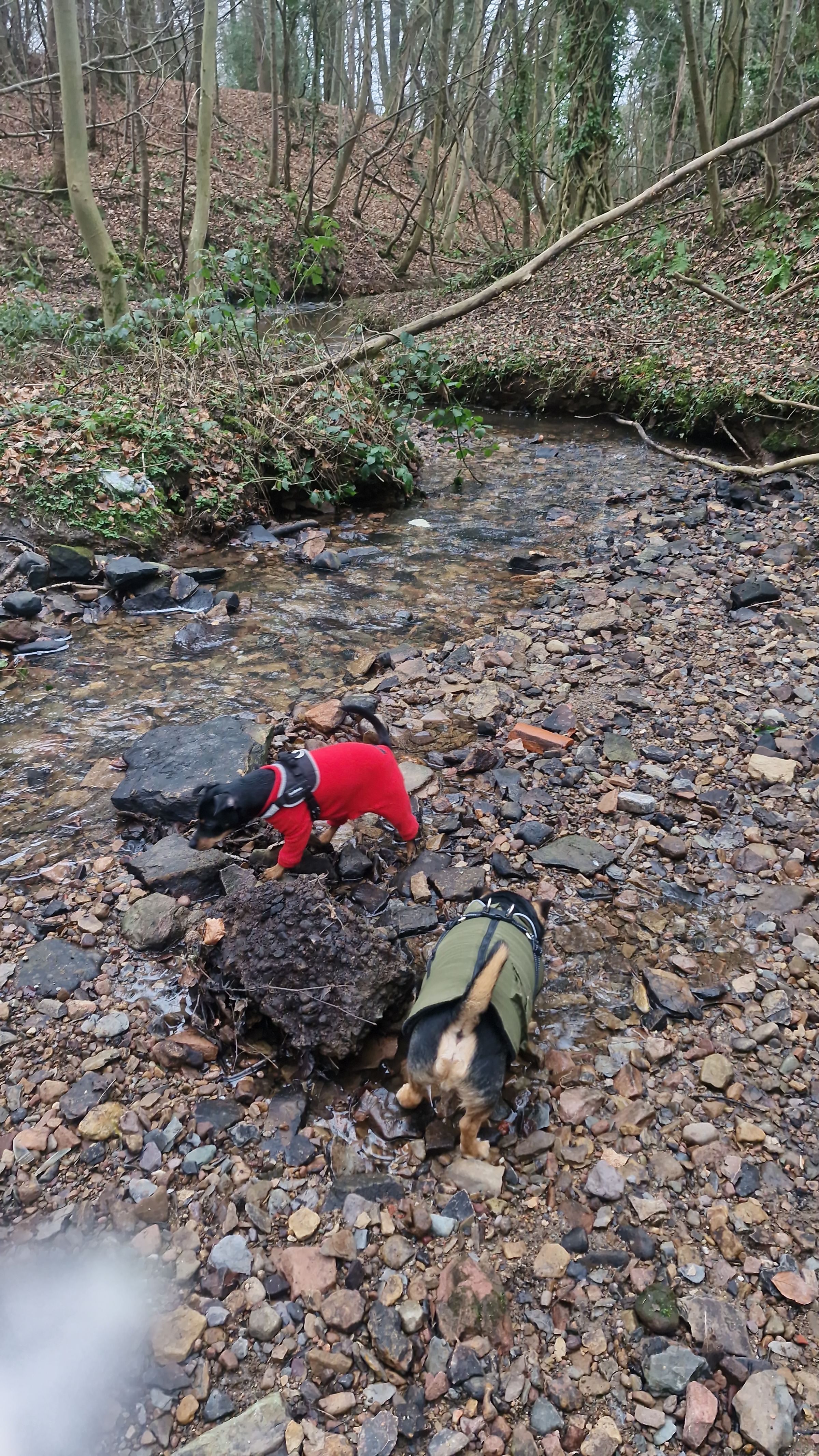 Hugo's Hikes's image