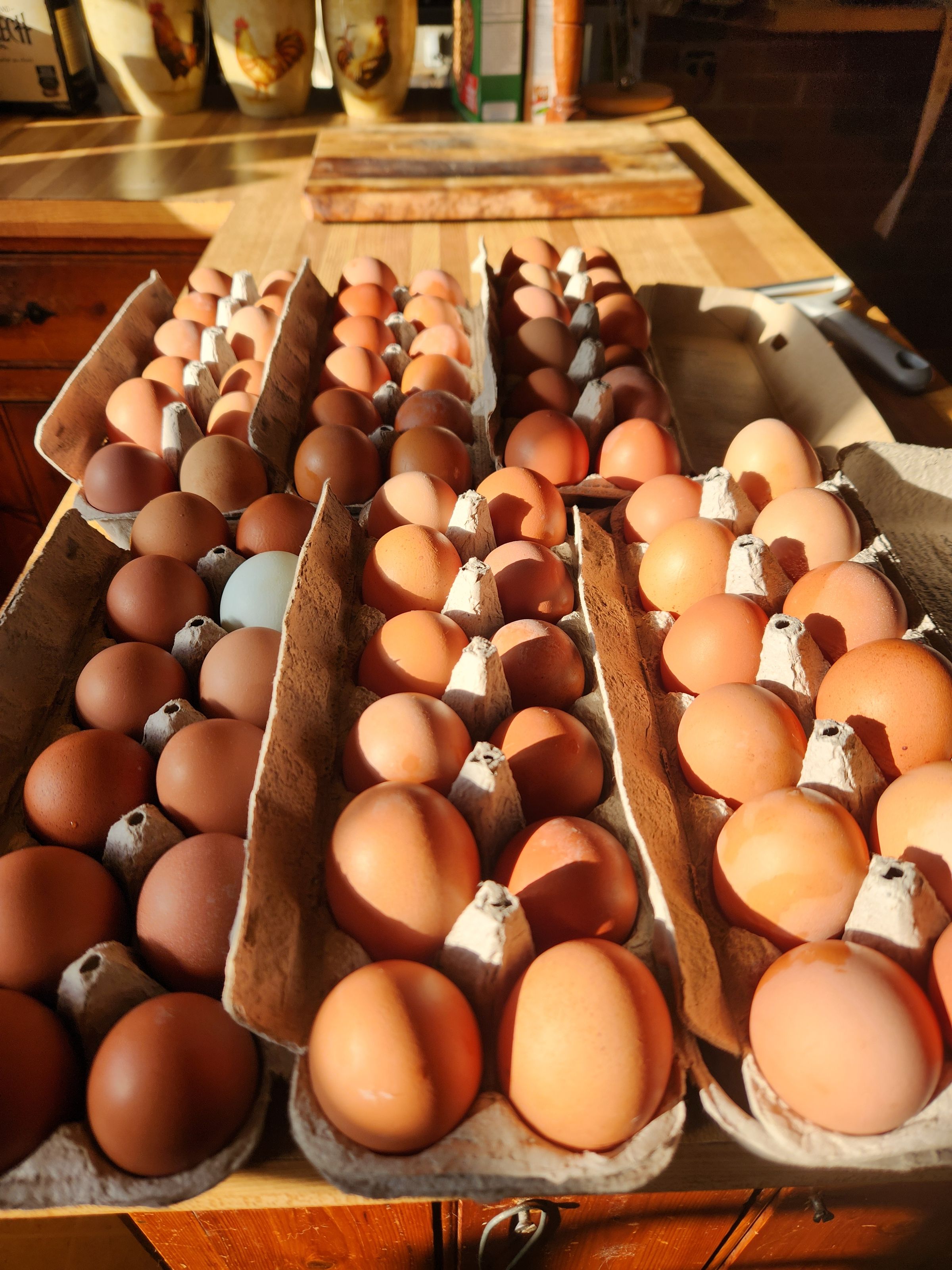 PATERAKS PECKERS's image