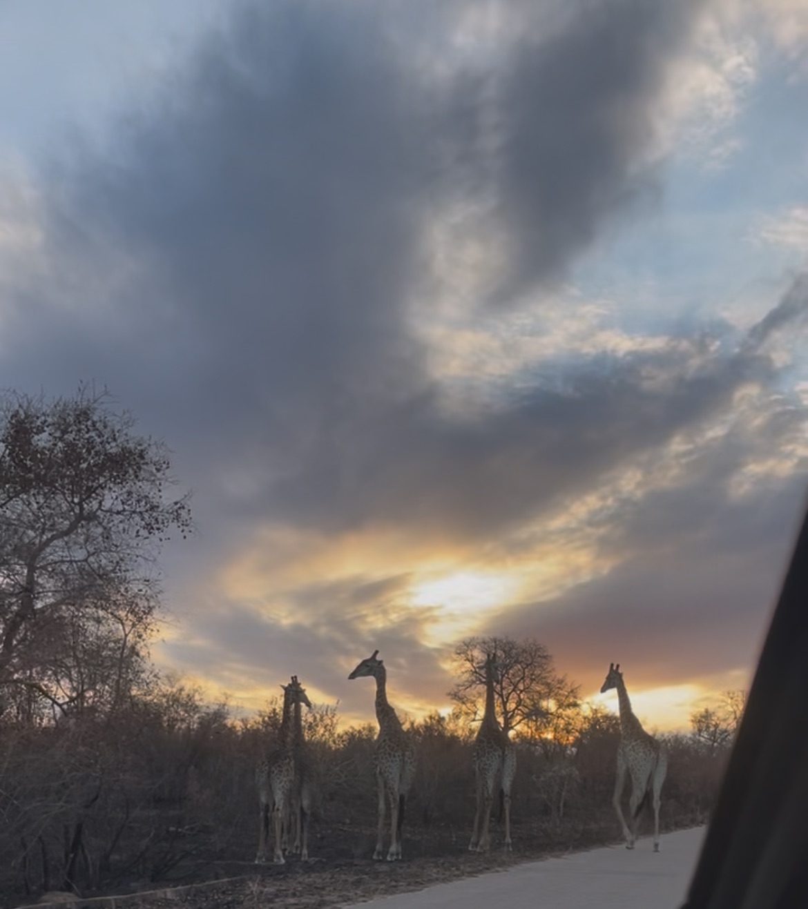 Laborum Dulce Lenimen's image