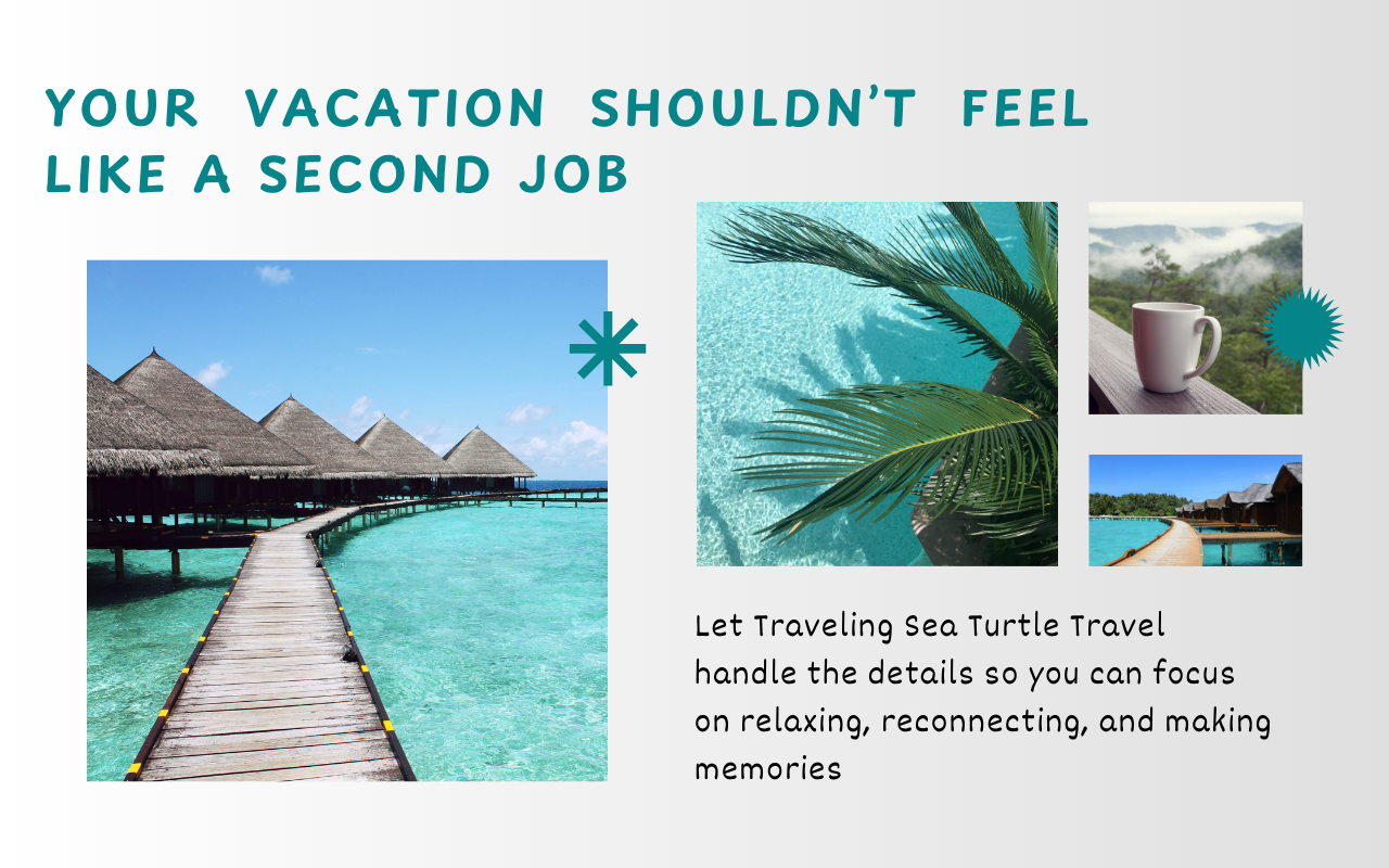Traveling Sea Turtle – Cruise & Vacation Travel Agent's image
