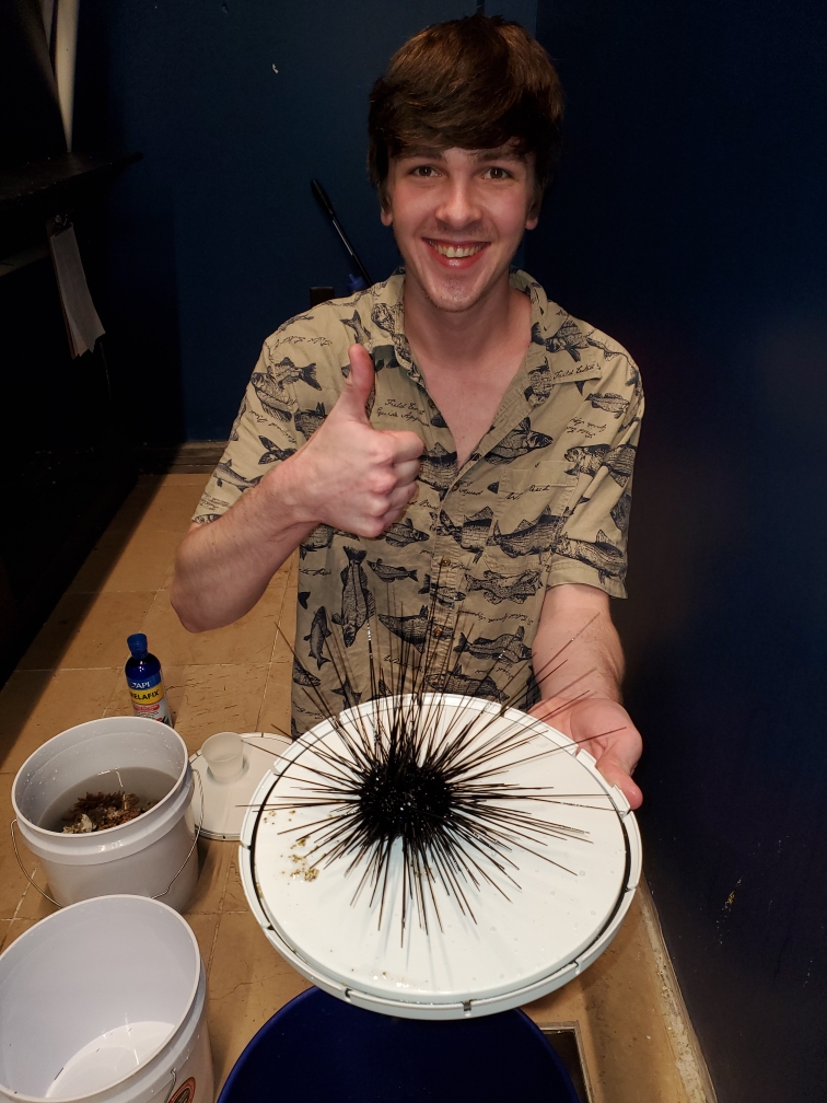 Creatures and Features's image