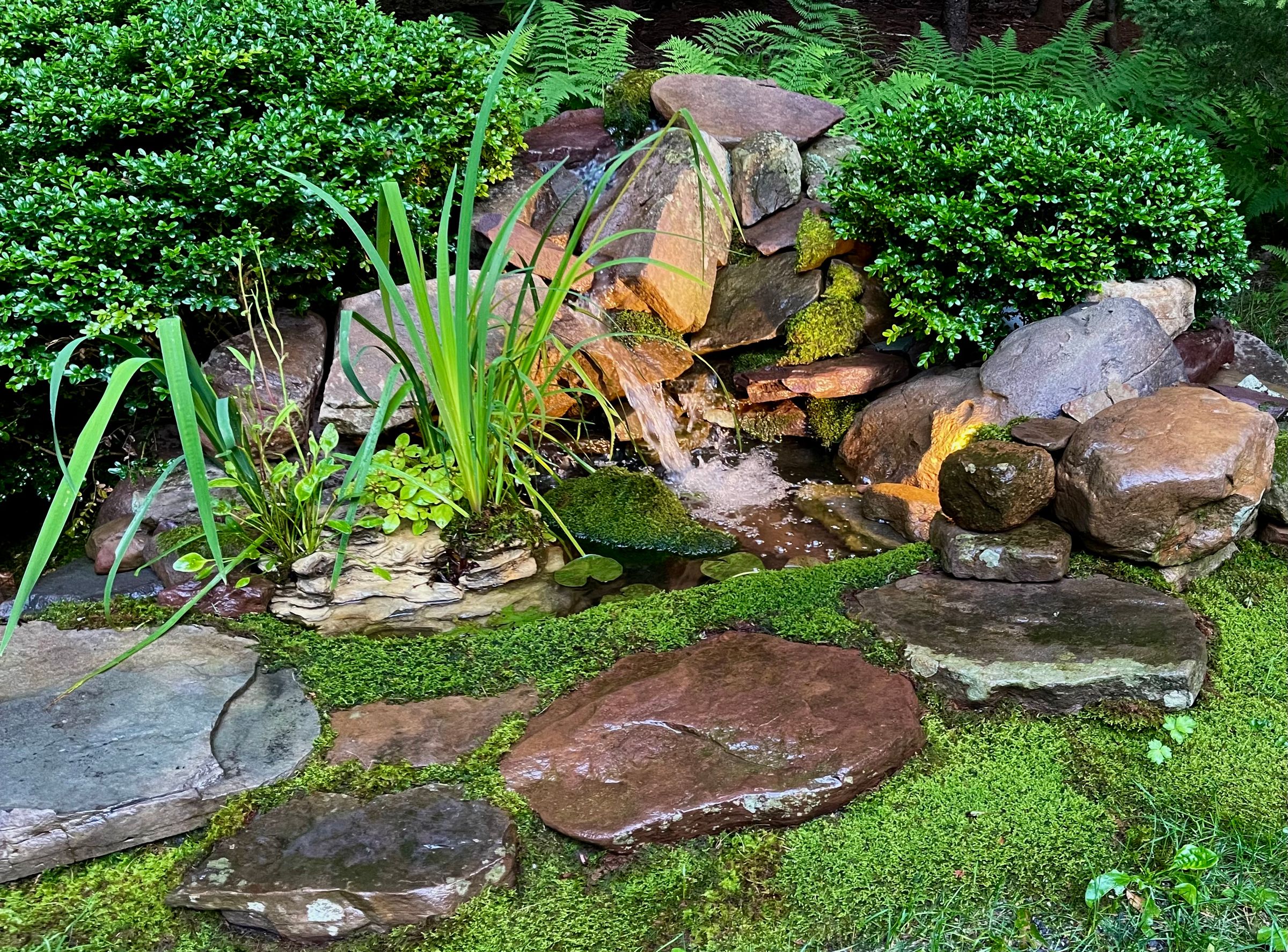 Creatures and Features's image
