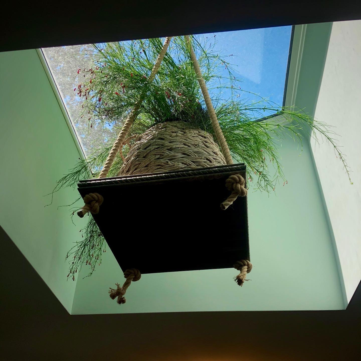 Creatures and Features's image