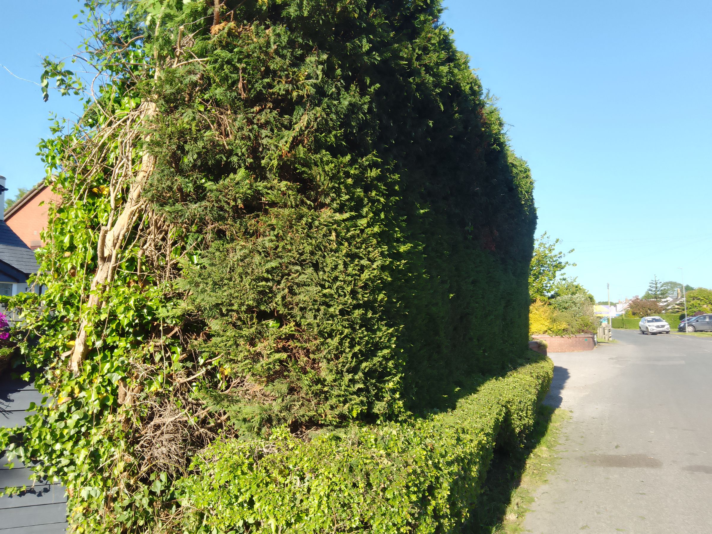 Pilling Preston 's image