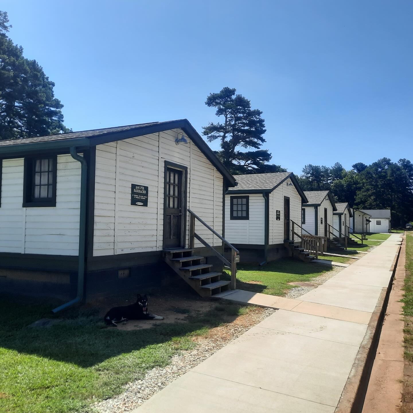 Toccoa Tours's image