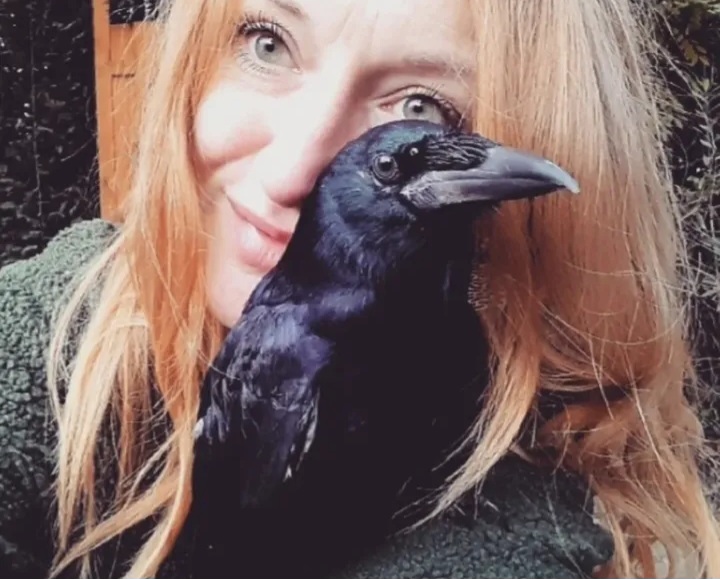 Rabenschwarz Wildvogelhilfe's image