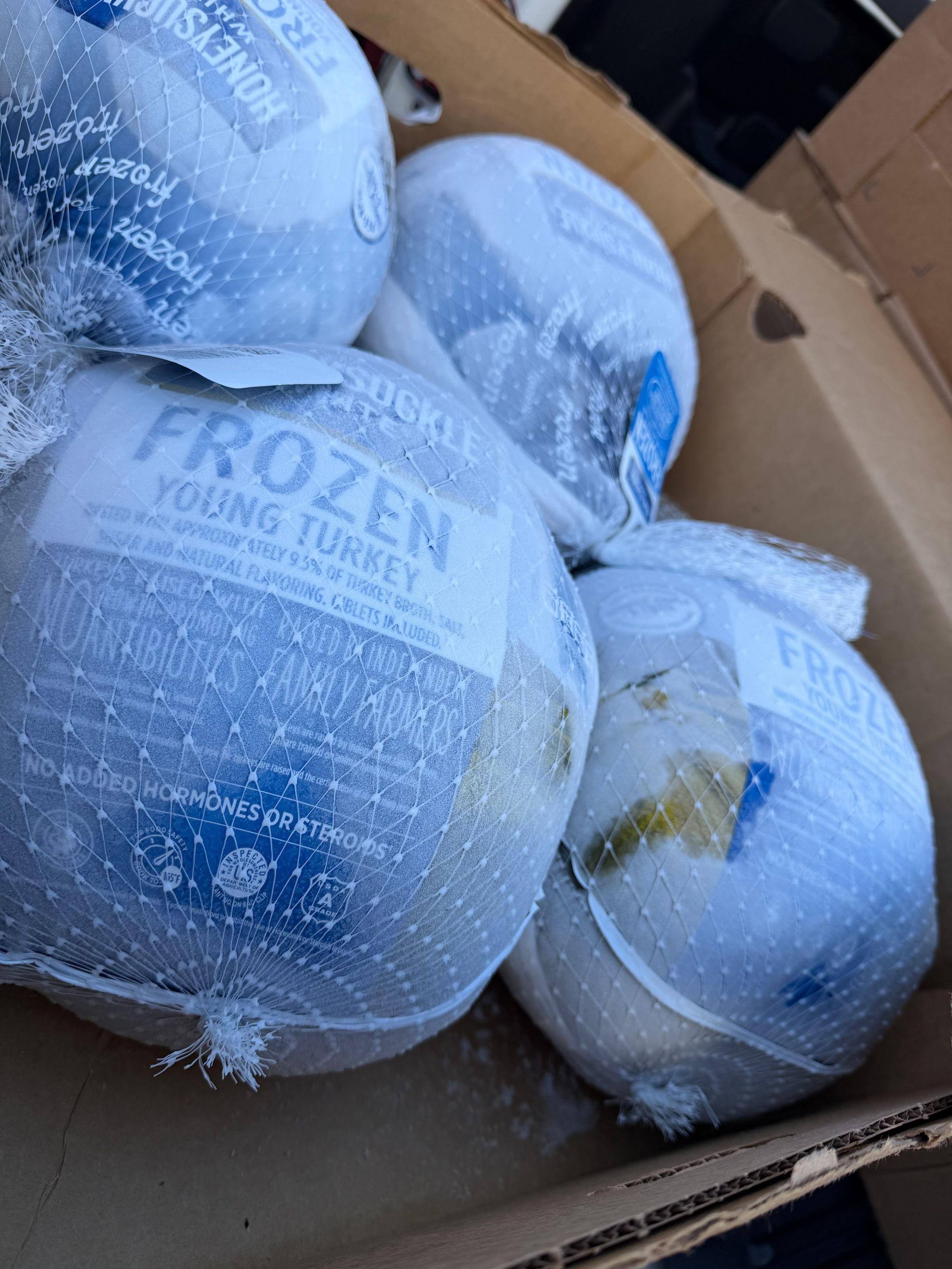 Cover Down Fund's image