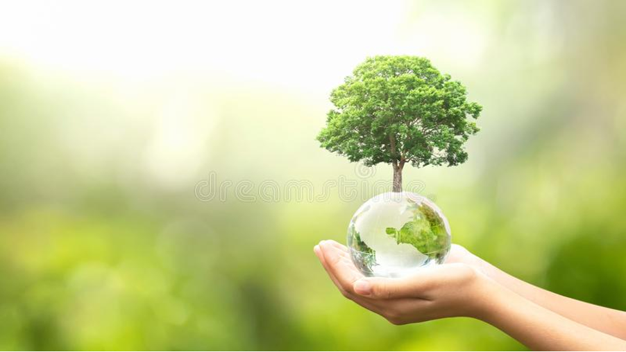 MIARE Solutions | Wellness, Fundraising & Biz Dev in Africa's image