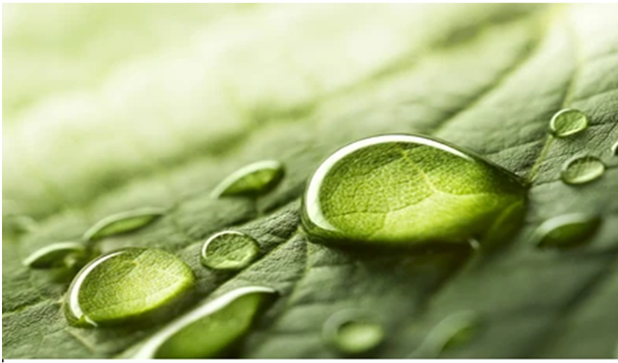 MIARE Solutions | Wellness, Fundraising & Biz Dev in Africa's image