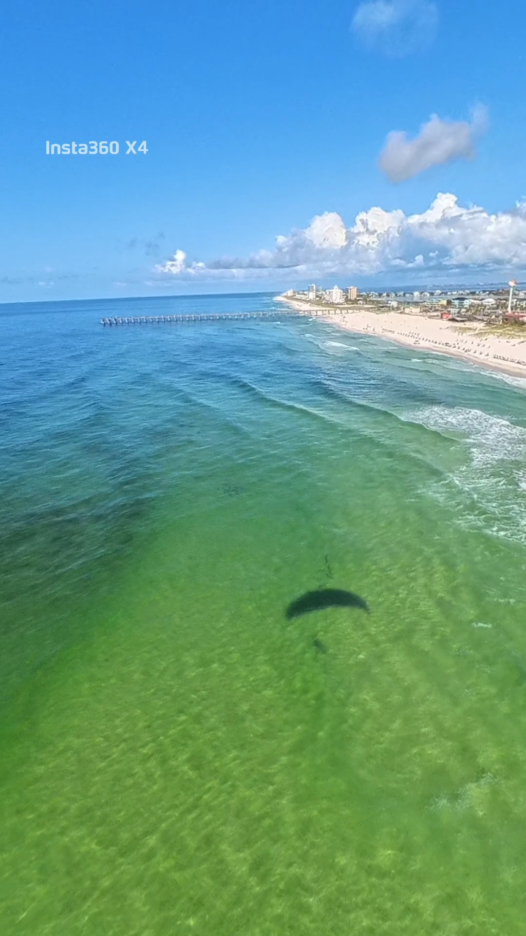 fallen angels paramotor club's image