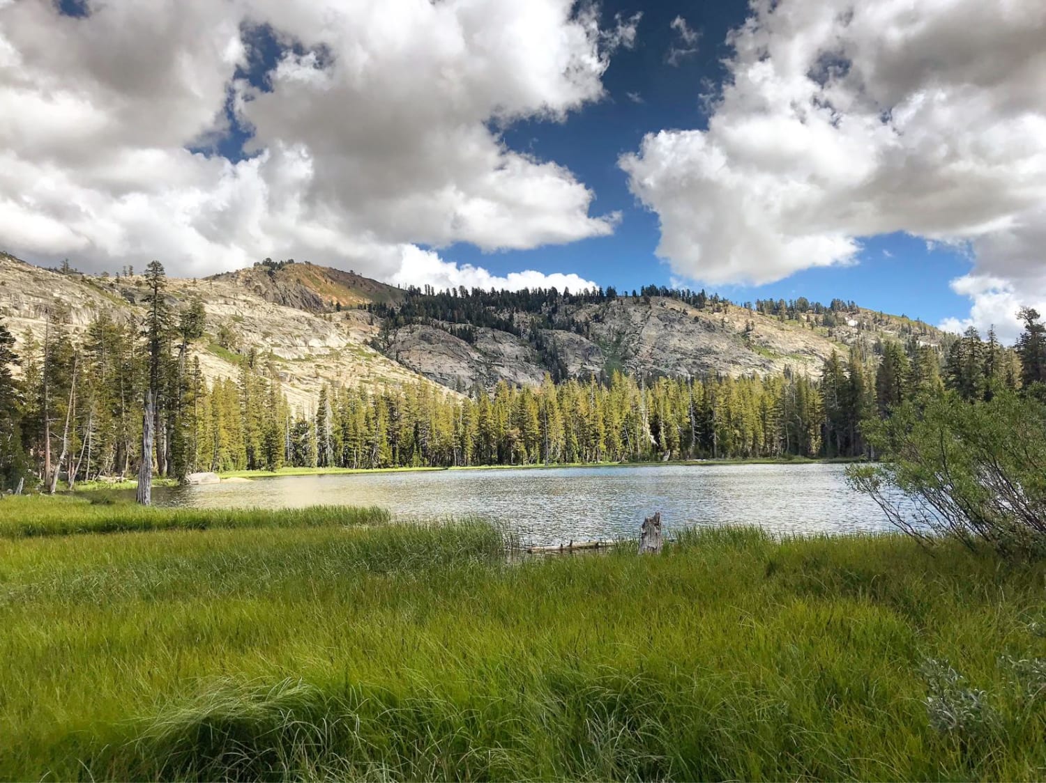 Tahoe Offroad and Outdoors 's image