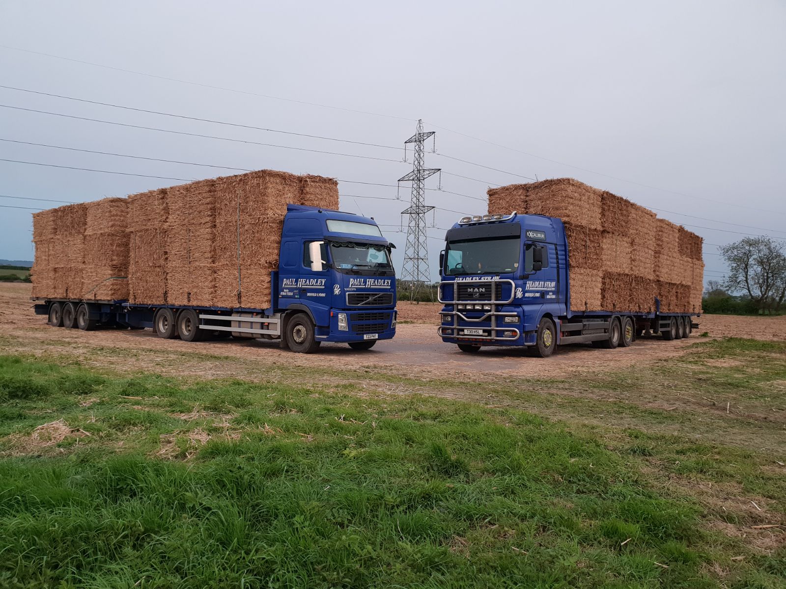 Headley Straw Limited's image