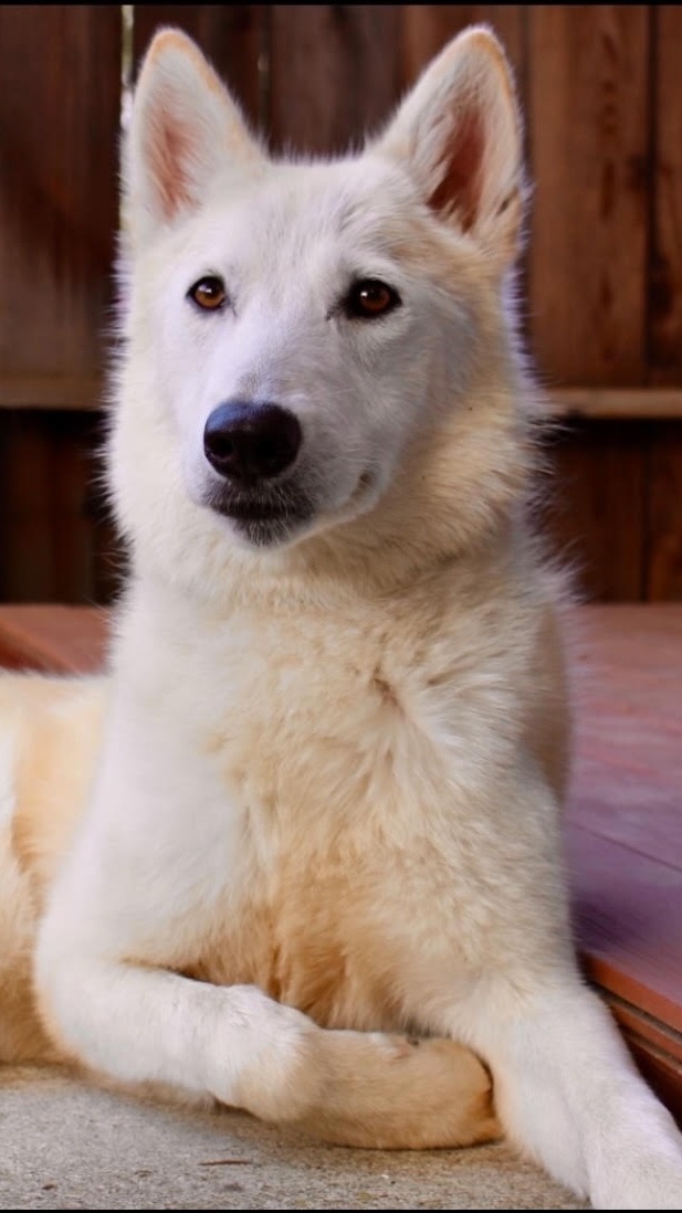 Studio Bibb Santa Barbara Photography's image