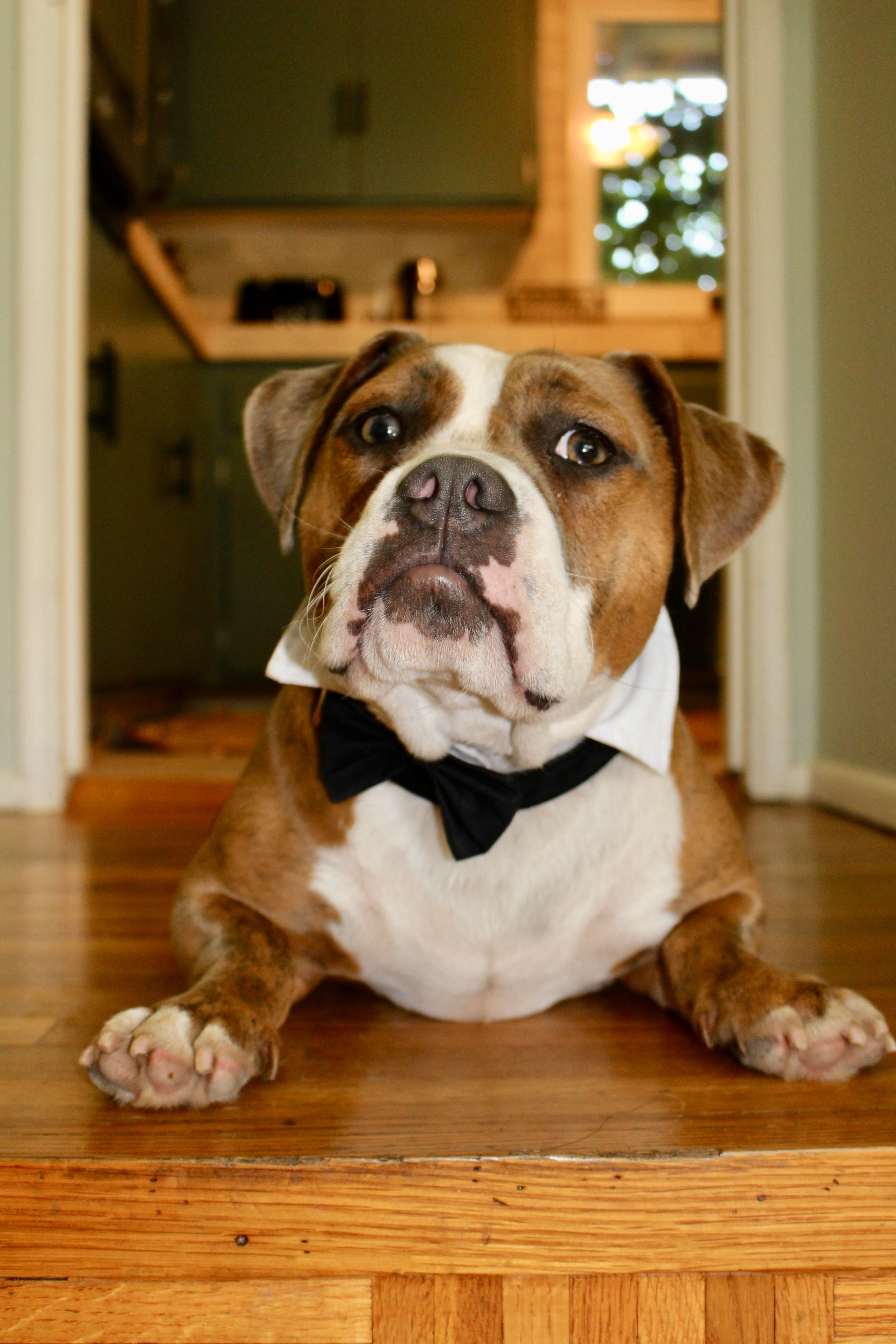 Studio Bibb Santa Barbara Photography's image