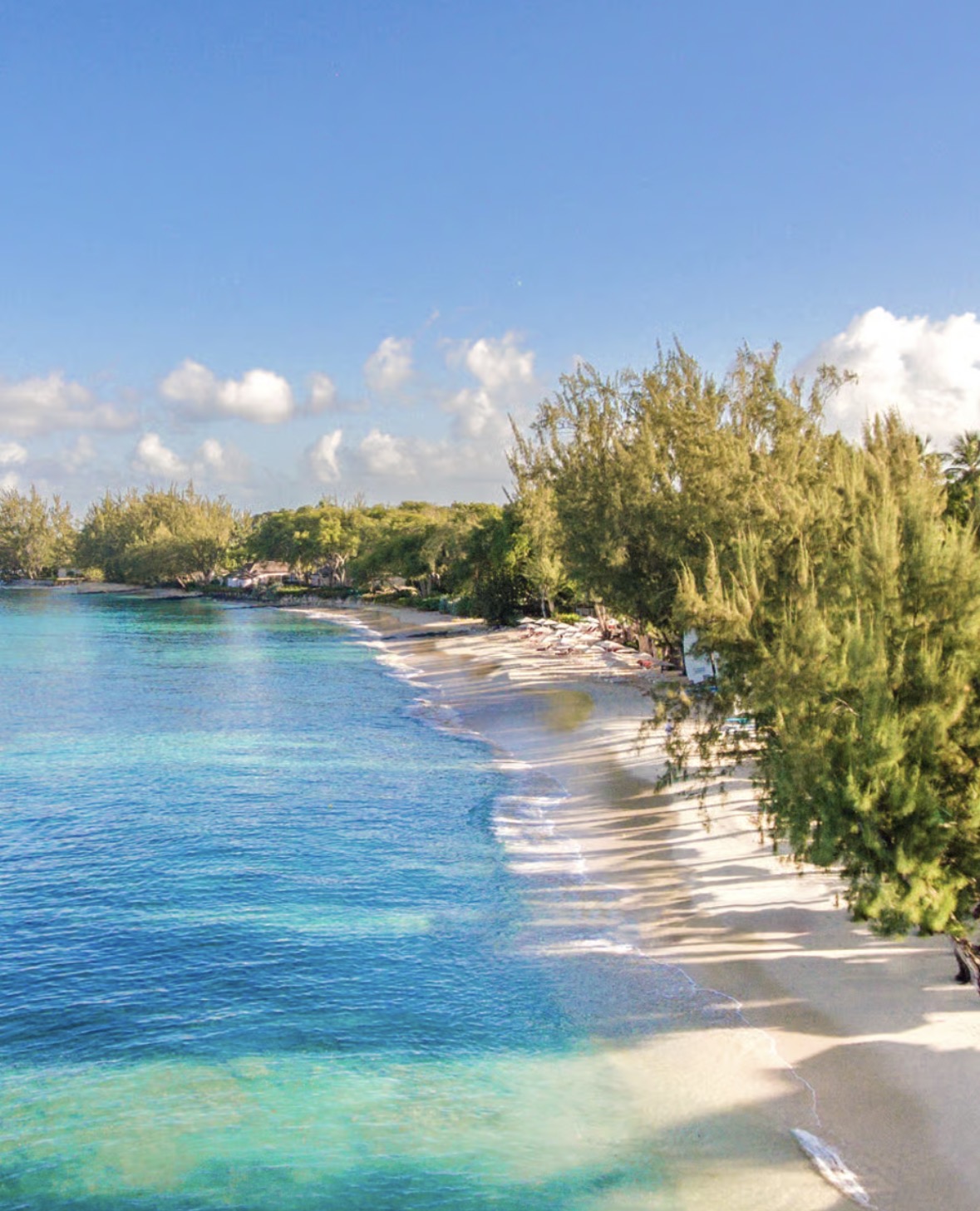 THE COLOUR FESTIVAL EXPERIENCE's image