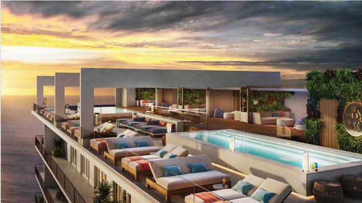 THE COLOUR FESTIVAL EXPERIENCE's image