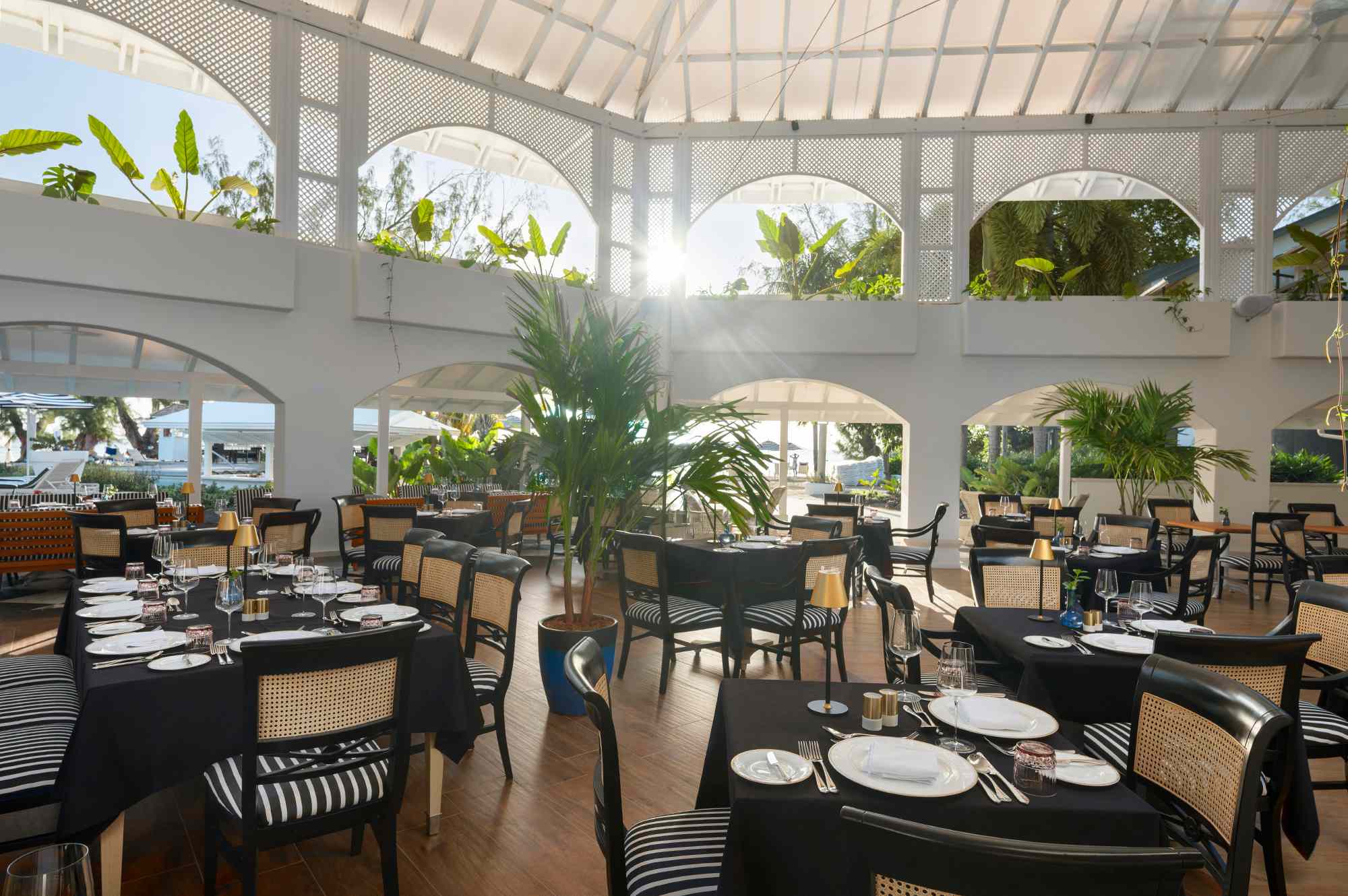 THE COLOUR FESTIVAL EXPERIENCE's image