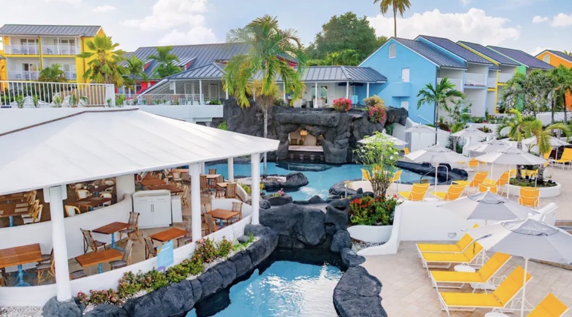 THE COLOUR FESTIVAL EXPERIENCE's image